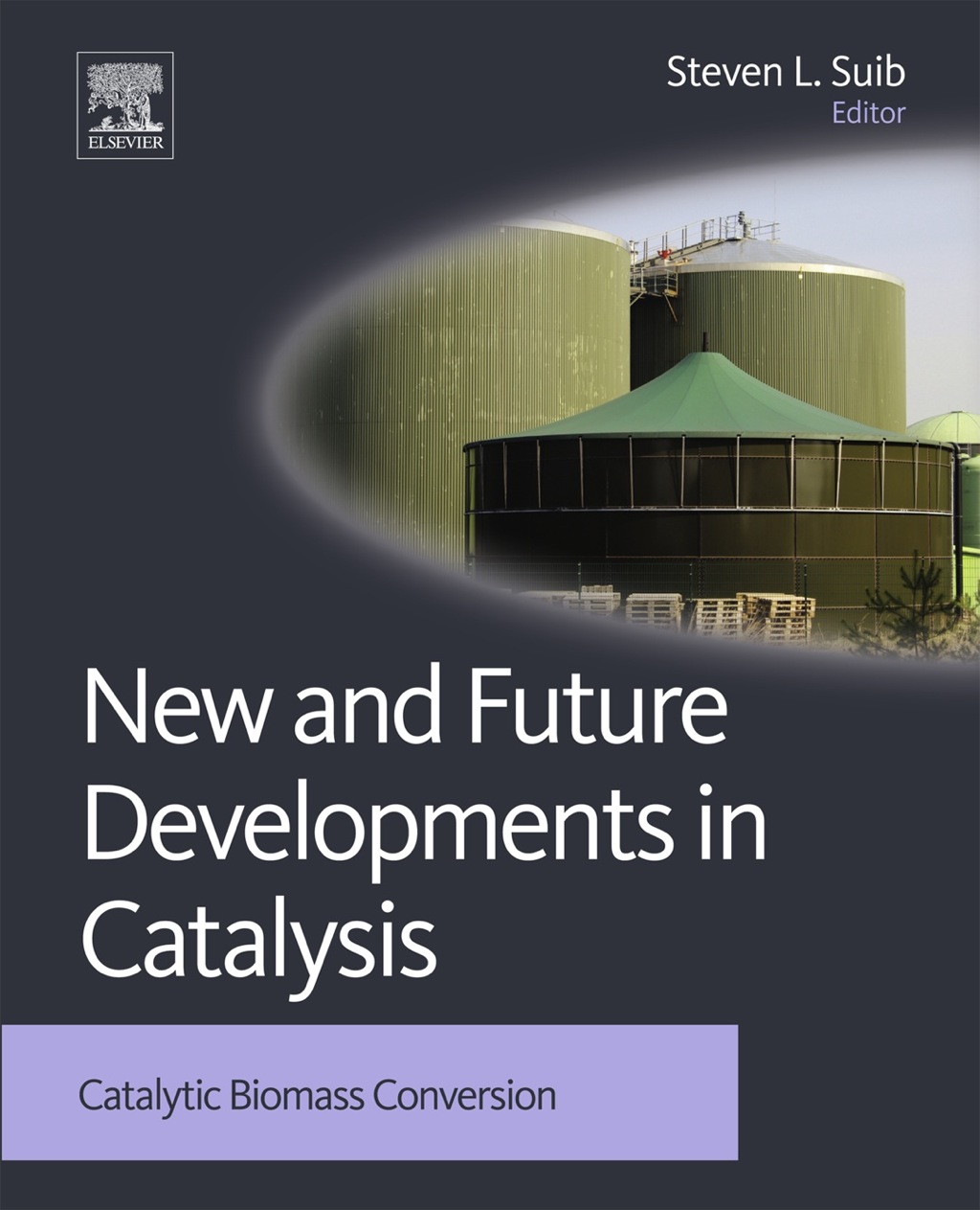 New and Future Developments in Catalysis: Catalytic Biomass Conversion 1st Edition â€“ PDF/EPUB Version Downloadable