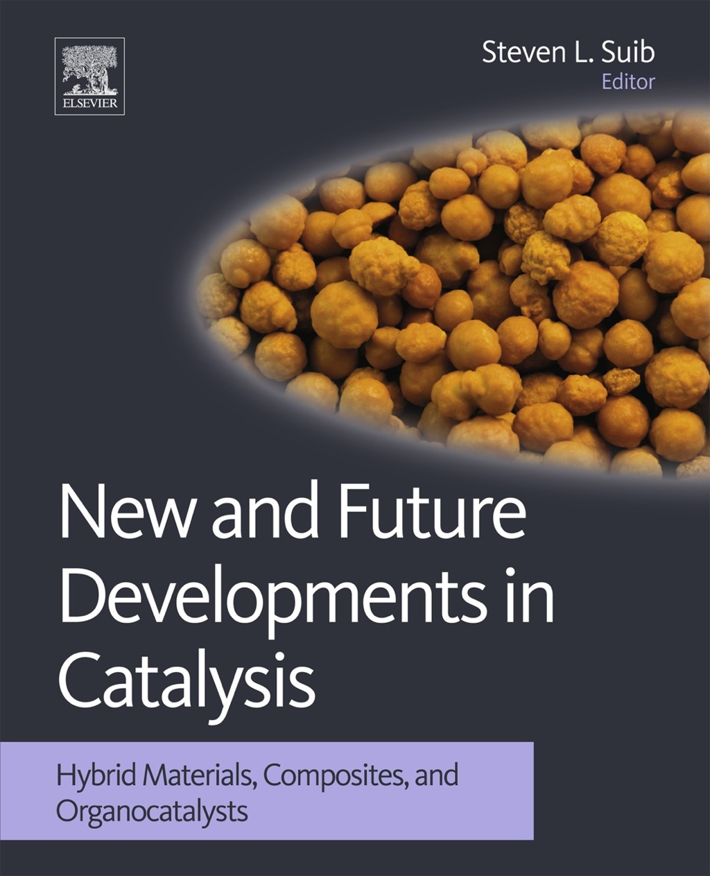 New and Future Developments in Catalysis: Hybrid Materials, Composites, and Organocatalysts 1st Edition â€“ PDF/EPUB Version Downloadable