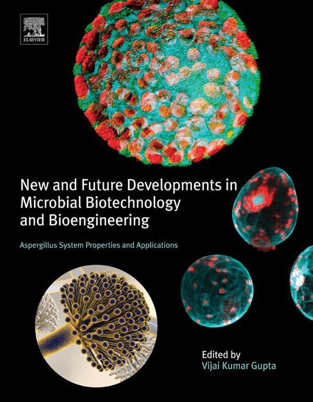 New and Future Developments in Microbial Biotechnology and Bioengineering Aspergillus System Properties and Applications  â€“ PDF/EPUB Version Downloadable