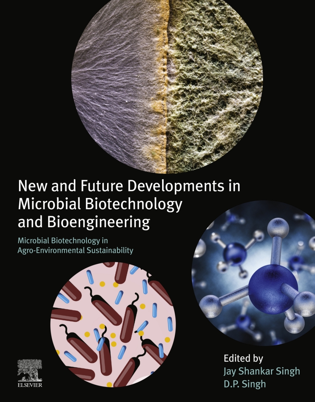 New and Future Developments in Microbial Biotechnology and Bioengineering Microbial Biotechnology in Agro-environmental Sustainability  â€“ PDF/EPUB Version Downloadable