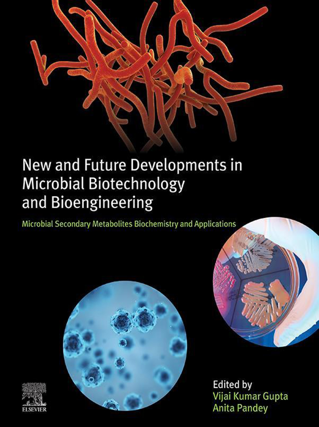 New and Future Developments in Microbial Biotechnology and Bioengineering Microbial Secondary Metabolites Biochemistry and Applications  â€“ PDF/EPUB Version Downloadable