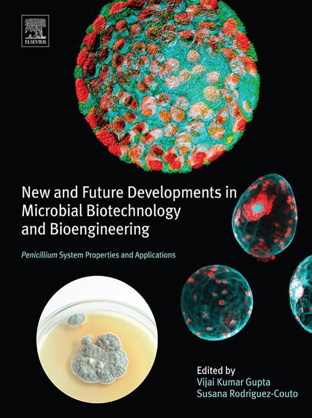 New and Future Developments in Microbial Biotechnology and Bioengineering Penicillium System Properties and Applications  â€“ PDF/EPUB Version Downloadable