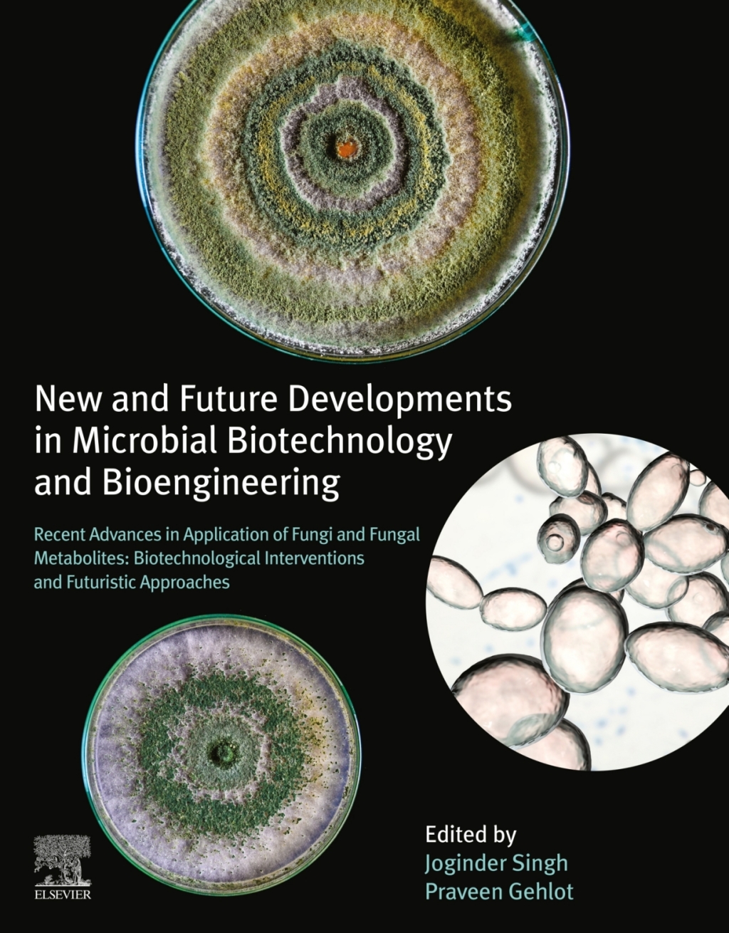 New and Future Developments in Microbial Biotechnology and Bioengineering Recent Advances in Application of Fungi and Fungal Metabolites: Biotechnological Interventions and Futuristic Approaches 1st Edition â€“ PDF/EPUB Version Downloadable