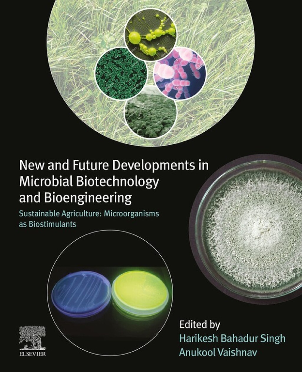 New and Future Developments in Microbial Biotechnology and Bioengineering Sustainable Agriculture: Microorganisms as Biostimulants  â€“ PDF/EPUB Version Downloadable