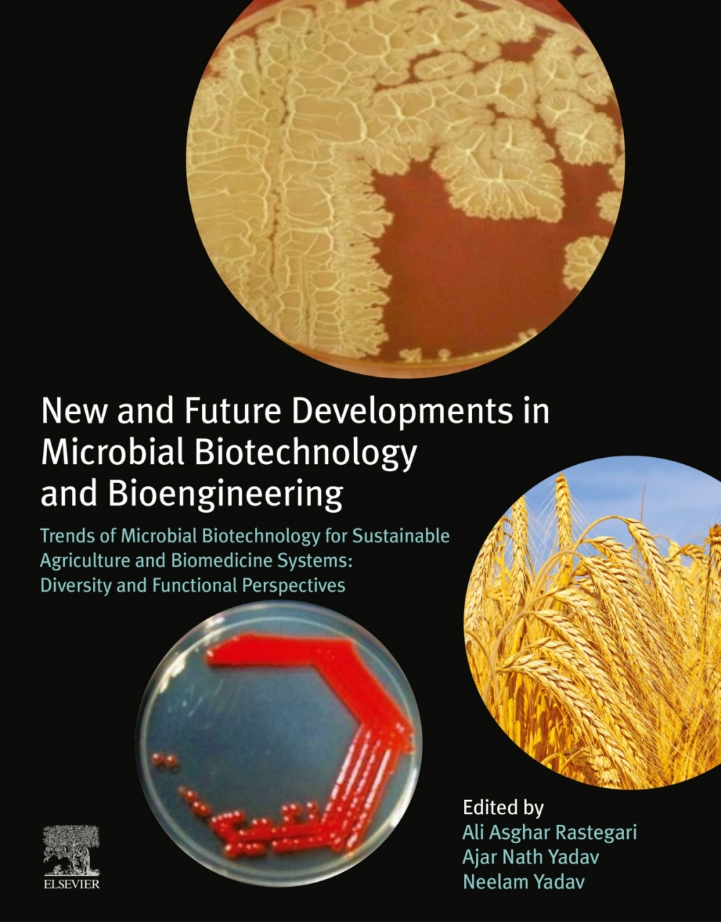 New and Future Developments in Microbial Biotechnology and Bioengineering Trends of Microbial Biotechnology for Sustainable Agriculture and Biomedicine Systems: Diversity and Functional Perspectives 1st Edition â€“ PDF/EPUB Version Downloadable