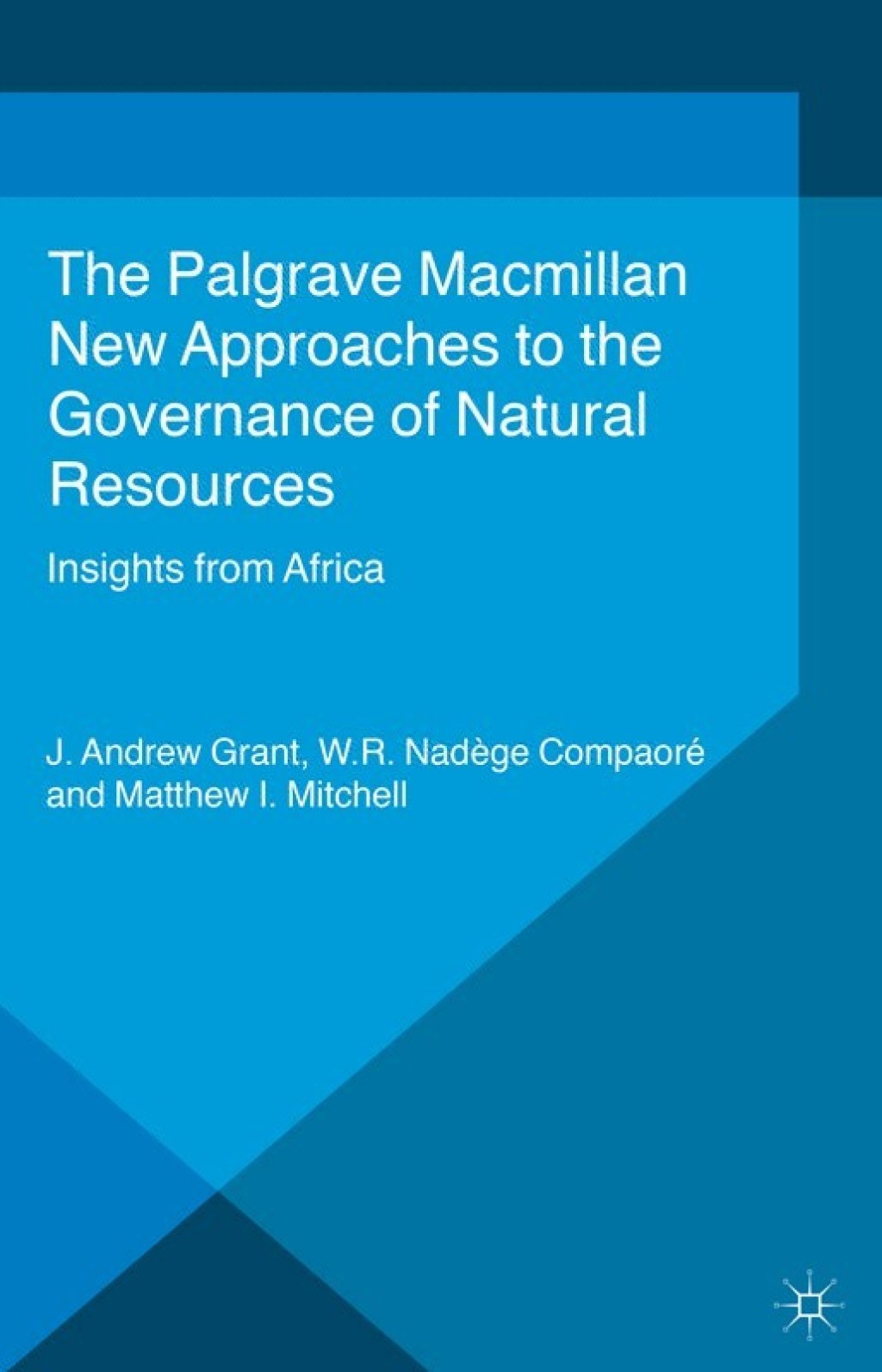 New Approaches to the Governance of Natural Resources Insights from Africa  â€“ PDF/EPUB Version Downloadable