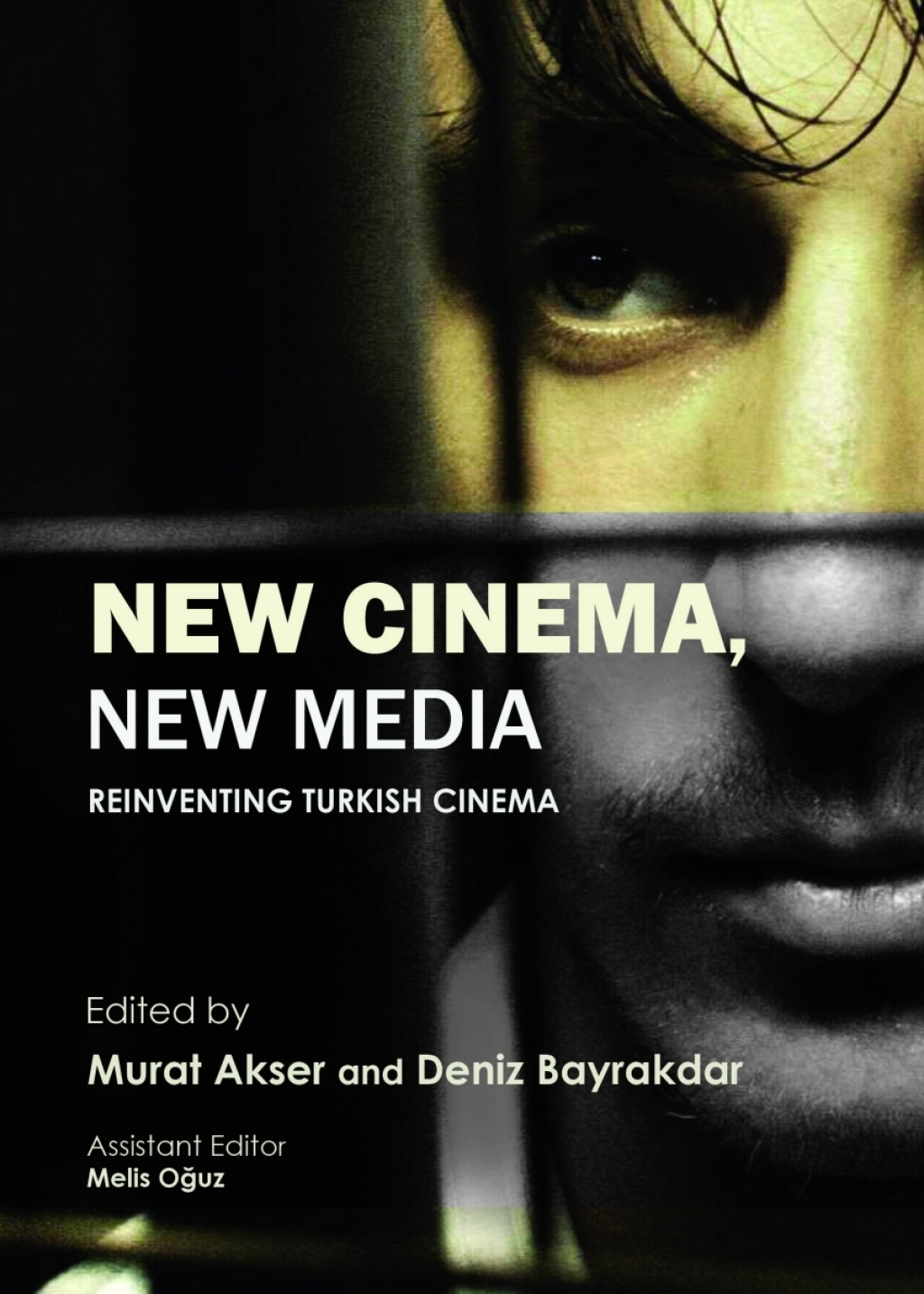 New Cinema, New Media Reinventing Turkish Cinema 1st Edition â€“ PDF/EPUB Version Downloadable