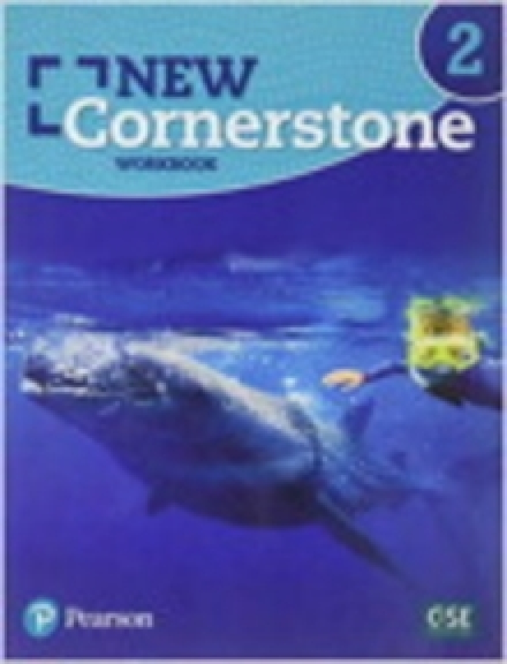 New Cornerstone Grade 2 Student eBook with Digital Resources Access Code 1st Edition â€“ PDF/EPUB Version Downloadable
