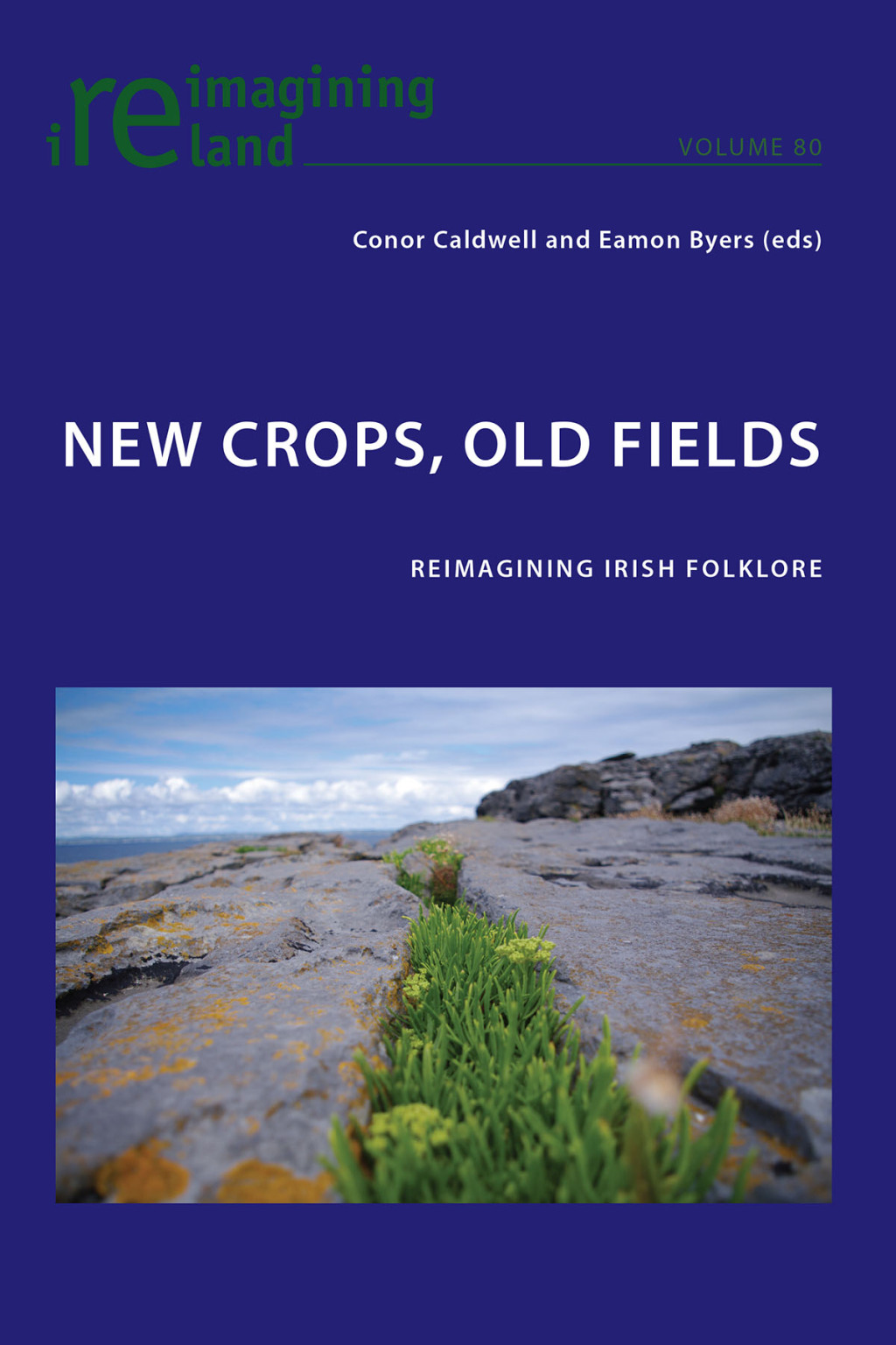 New Crops, Old Fields Reimagining Irish Folklore 1st Edition â€“ PDF/EPUB Version Downloadable