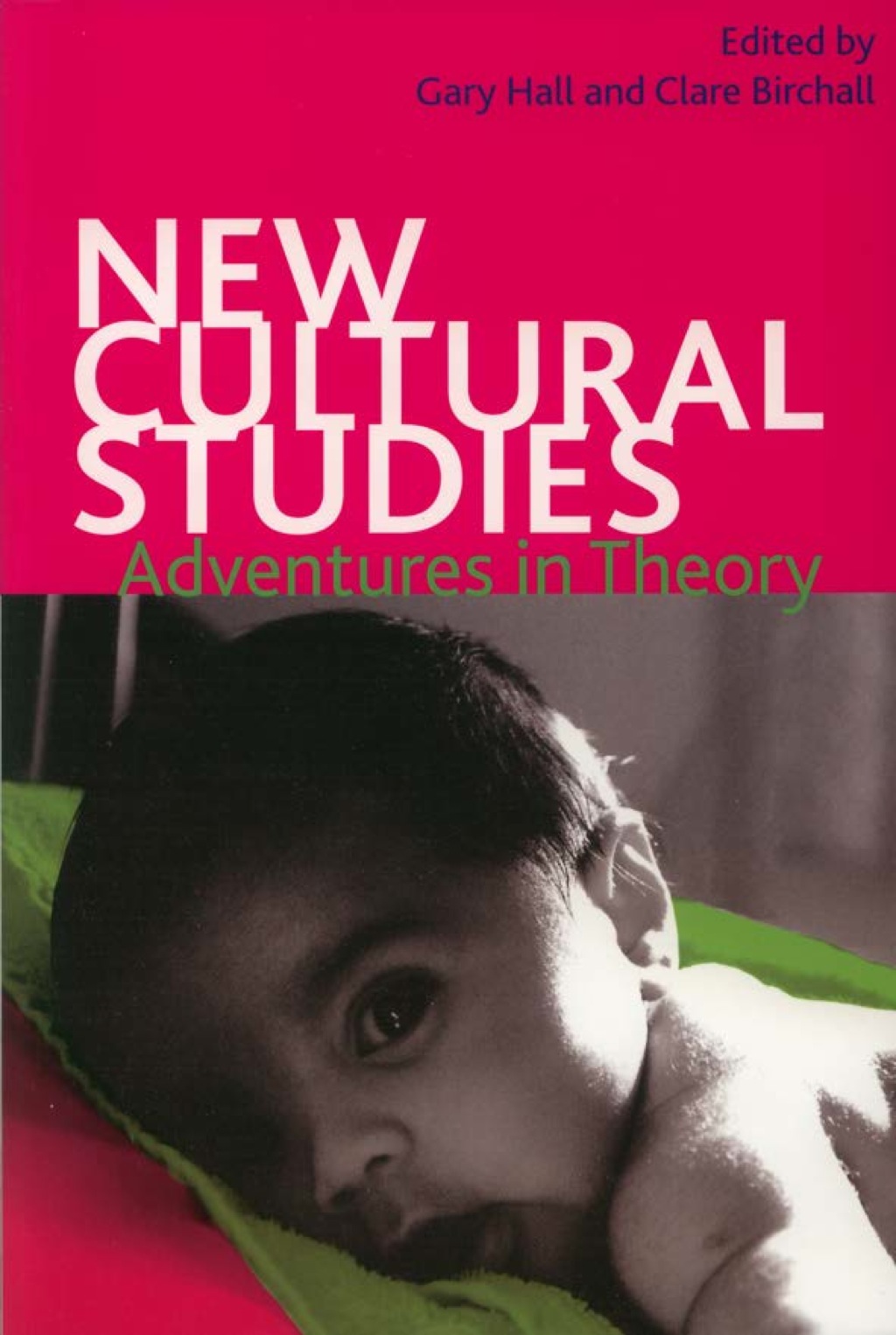 New Cultural Studies: Adventures in Theory  â€“ PDF/EPUB Version Downloadable
