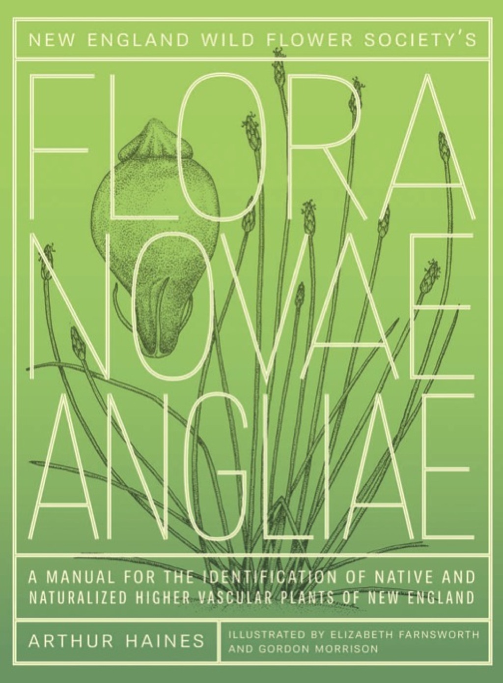 New England Wild Flower Society's Flora Novae Angliae  â€“ PDF/EPUB Version Downloadable