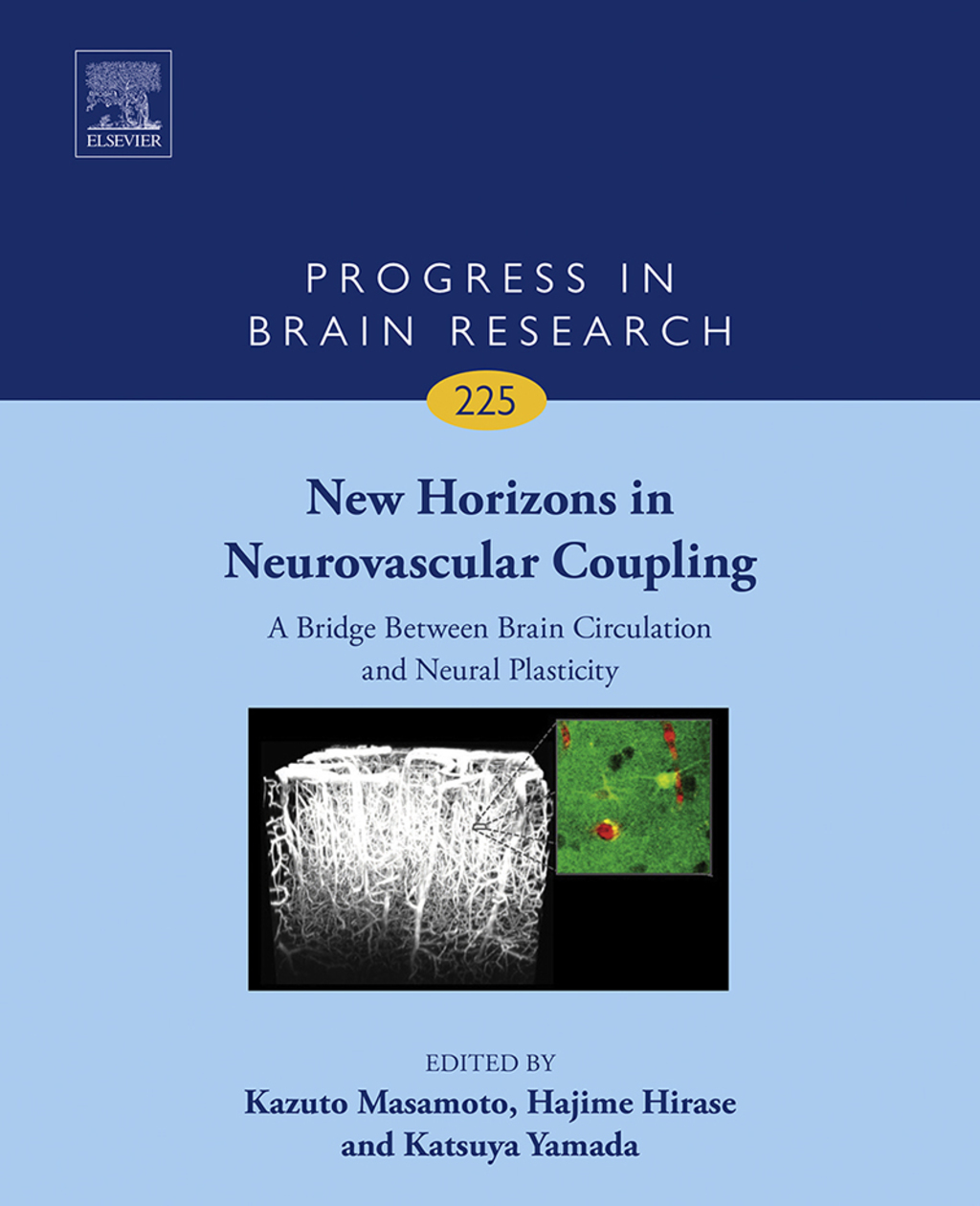 New Horizons in Neurovascular Coupling: A Bridge Between Brain Circulation and Neural Plasticity  â€“ PDF/EPUB Version Downloadable