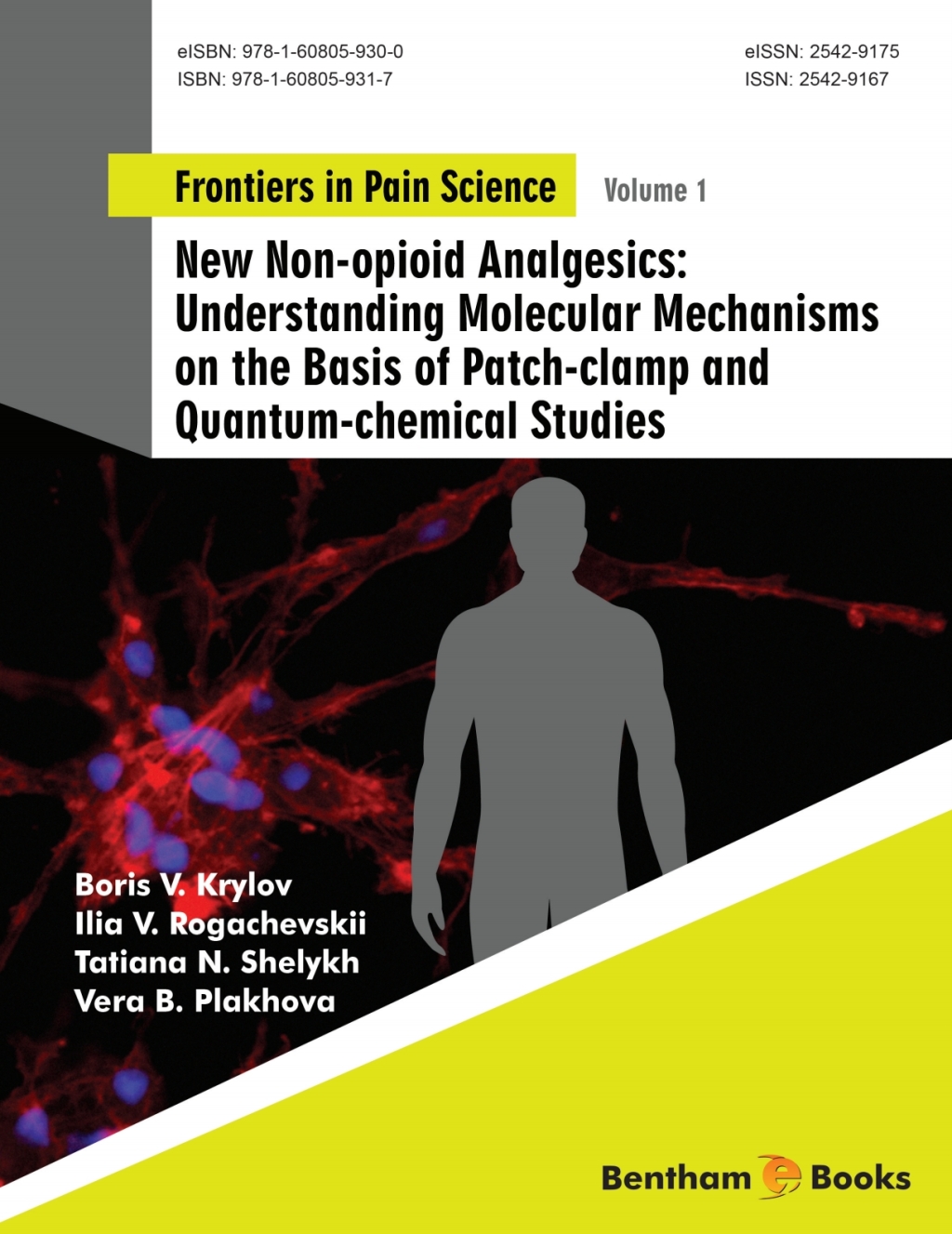 New Non-opioid Analgesics: Understanding Molecular Mechanisms on the Basis of Patch-clamp and Quantum-chemical Studies 1st Edition â€“ PDF/EPUB Version Downloadable