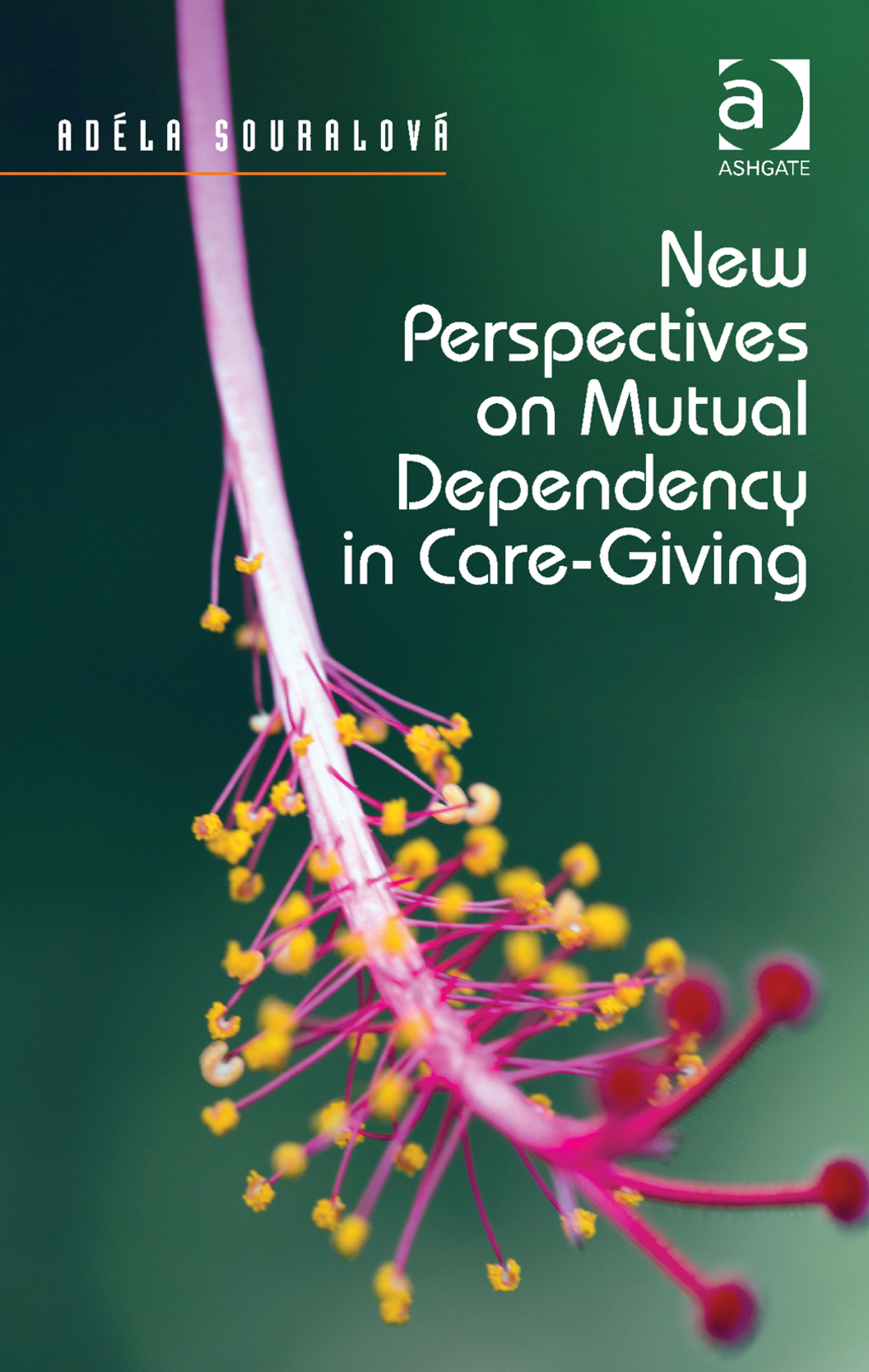 New Perspectives on Mutual Dependency in Care-Giving  â€“ PDF/EPUB Version Downloadable