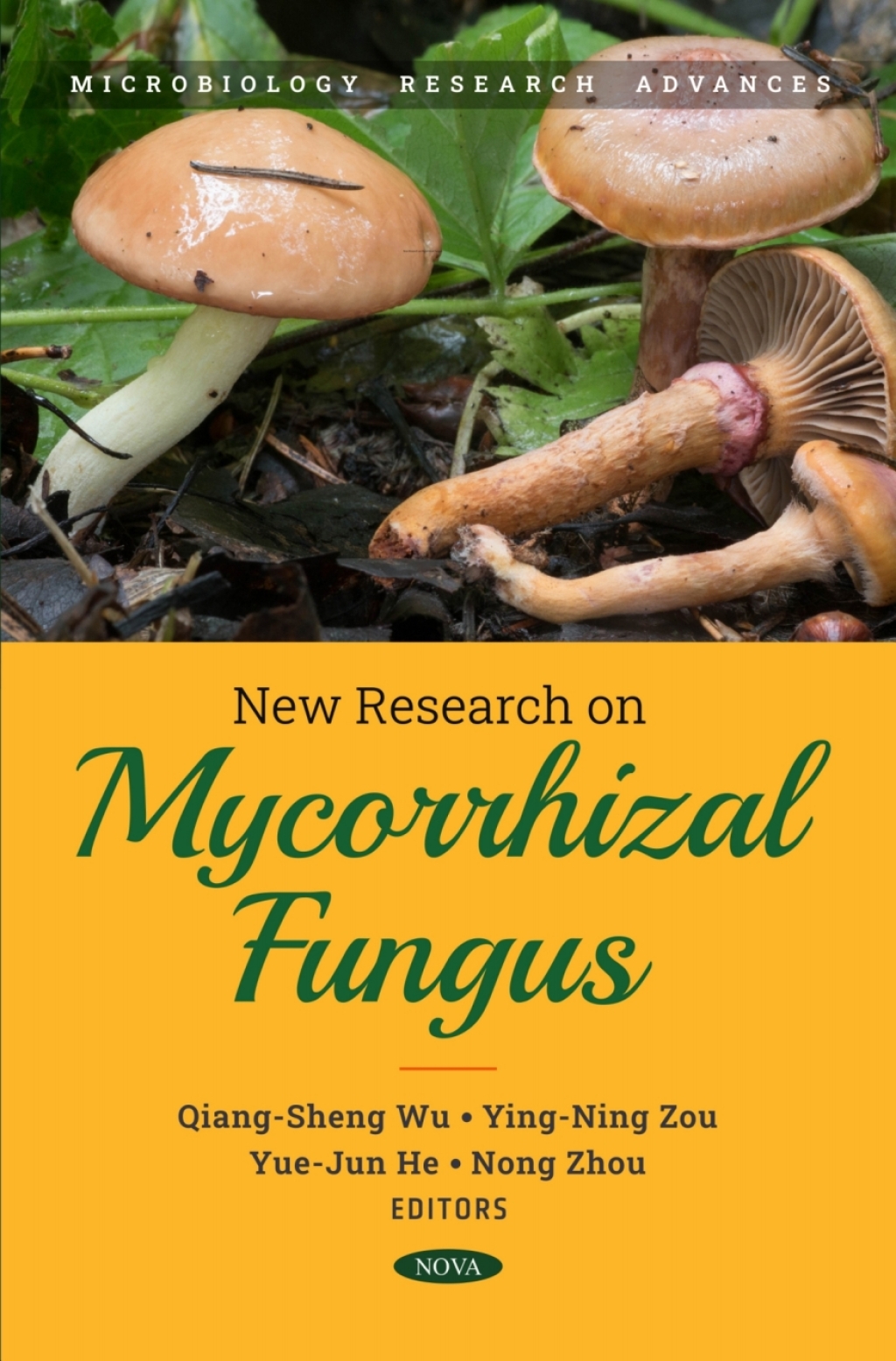 New Research on Mycorrhizal Fungus  â€“ PDF/EPUB Version Downloadable