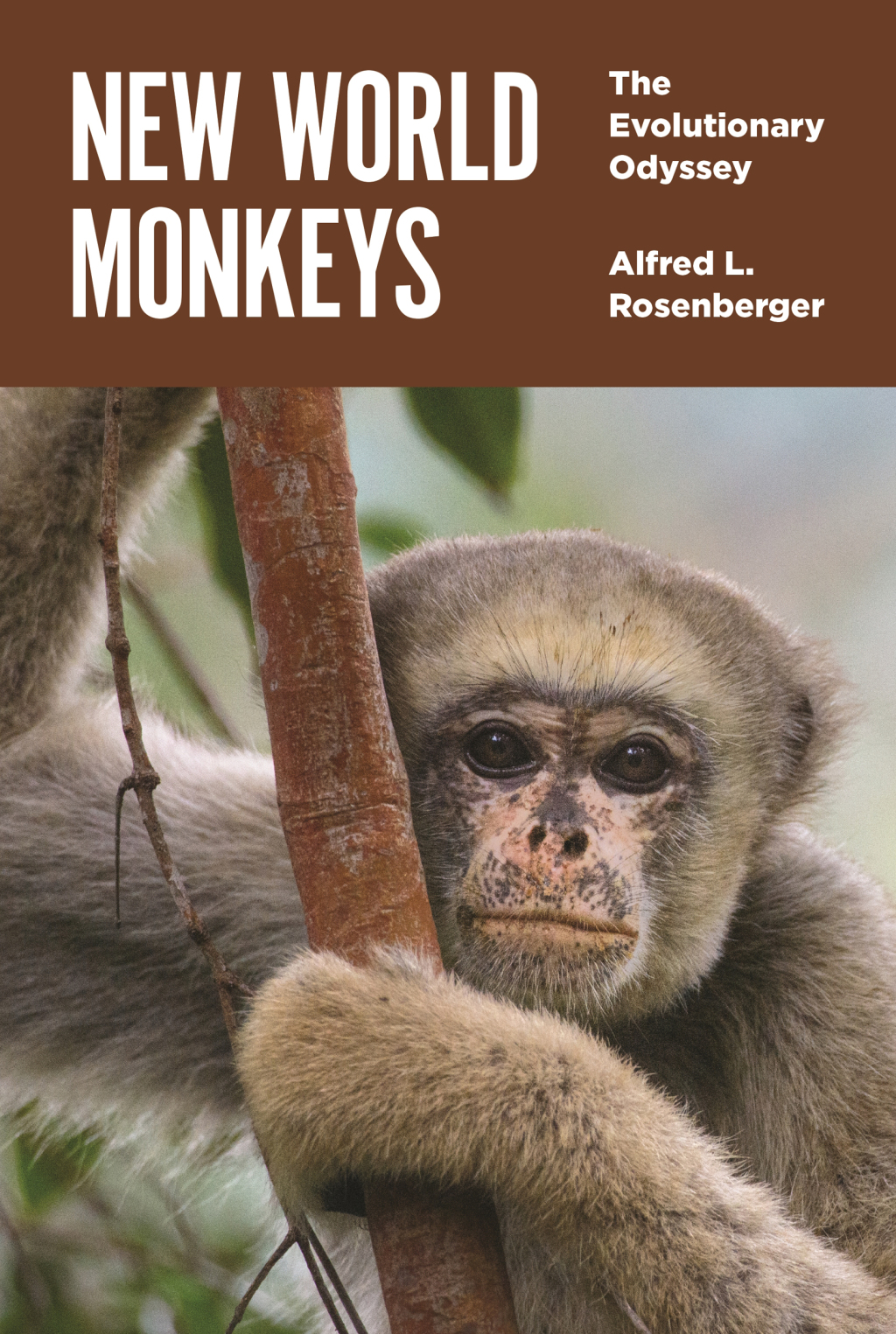 New World Monkeys The Evolutionary Odyssey  â€“ PDF/EPUB Version Downloadable