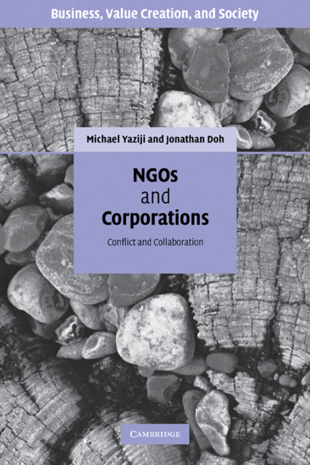 NGOs and Corporations Conflict and Collaboration  â€“ PDF/EPUB Version Downloadable