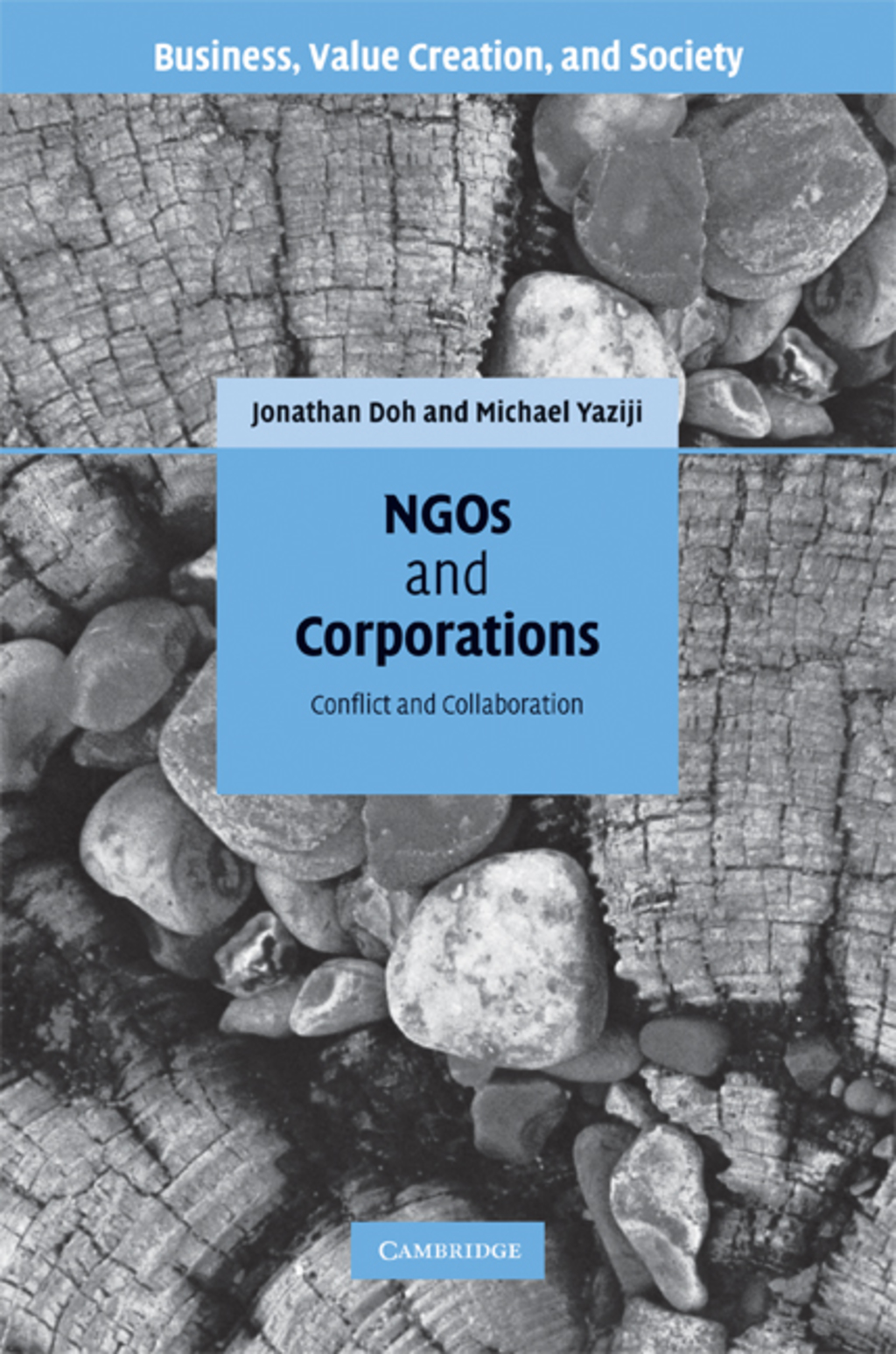 NGOs and Corporations Conflict and Collaboration 1st Edition â€“ PDF/EPUB Version Downloadable