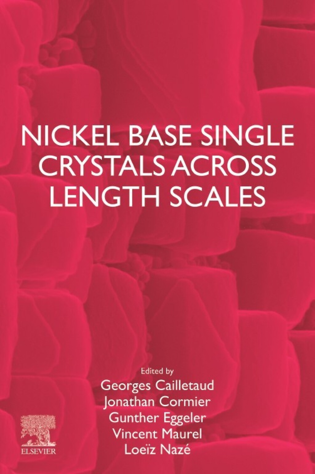 Nickel Base Single Crystals Across Length Scales  â€“ PDF/EPUB Version Downloadable