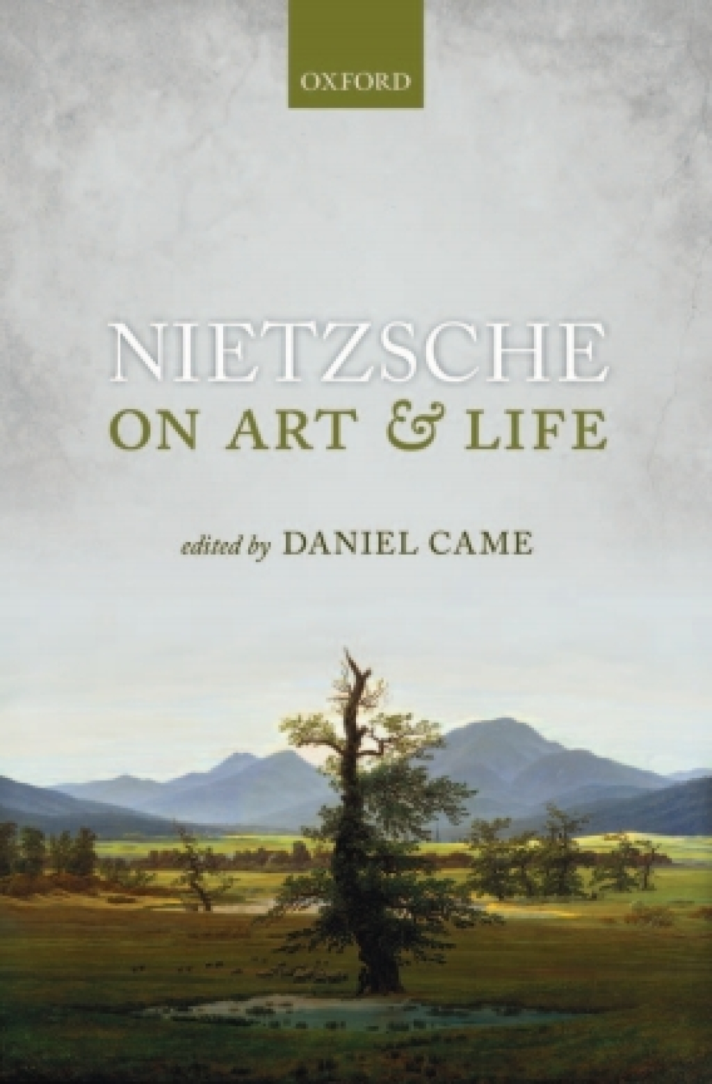 Nietzsche on Art and Life 1st Edition â€“ PDF/EPUB Version Downloadable