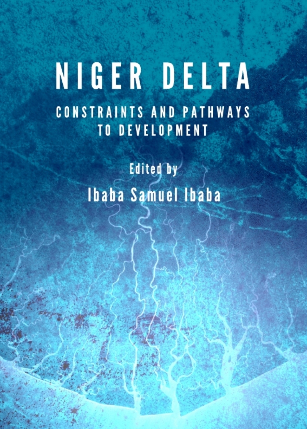 Niger Delta Constraints and Pathways to Development 1st Edition â€“ PDF/EPUB Version Downloadable
