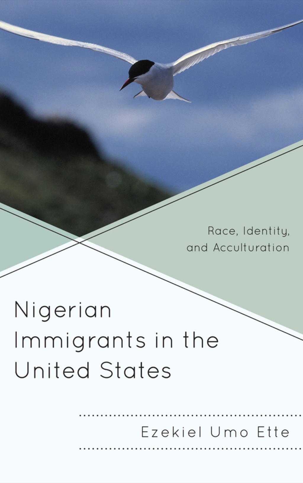 Nigerian Immigrants in the United States  â€“ PDF/EPUB Version Downloadable