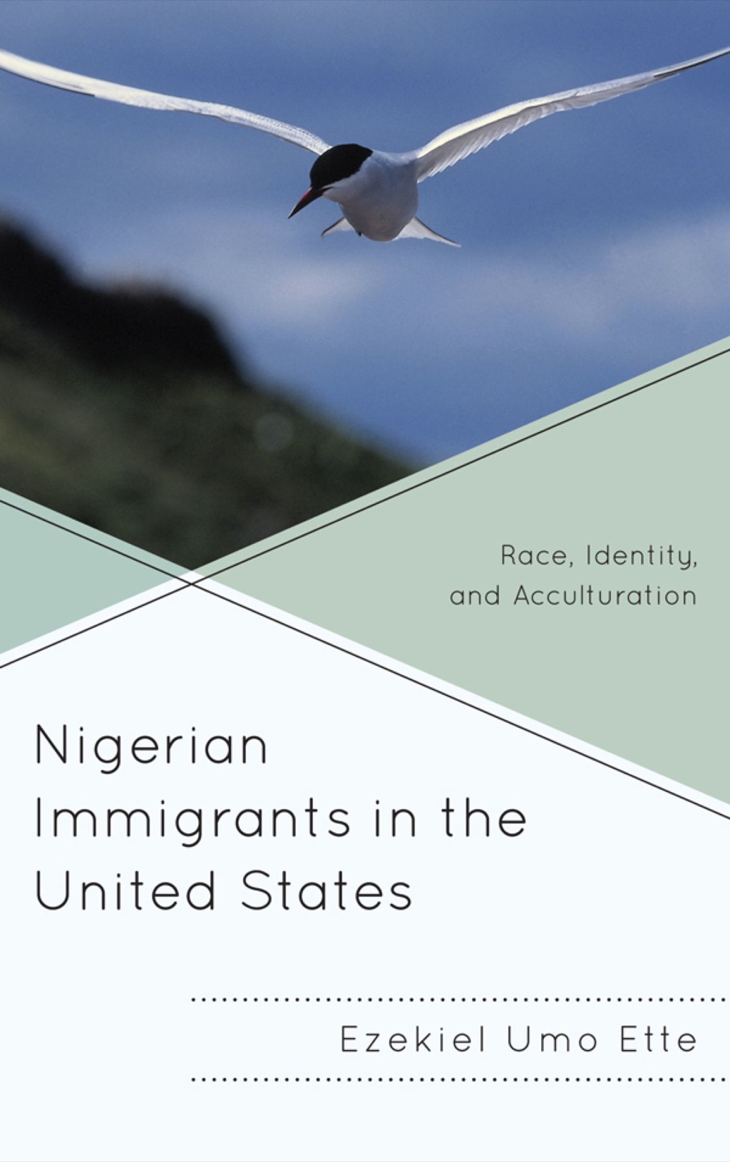 Nigerian Immigrants in the United States Race, Identity, and Acculturation 1st Edition â€“ PDF/EPUB Version Downloadable