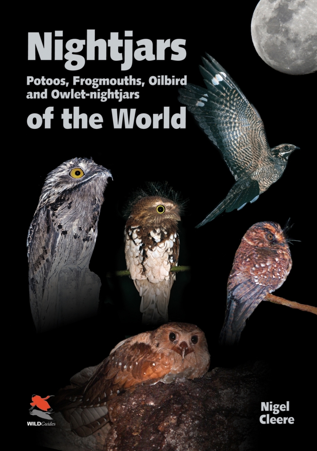 Nightjars, Potoos, Frogmouths, Oilbird, and Owlet-nightjars of the World  â€“ PDF/EPUB Version Downloadable