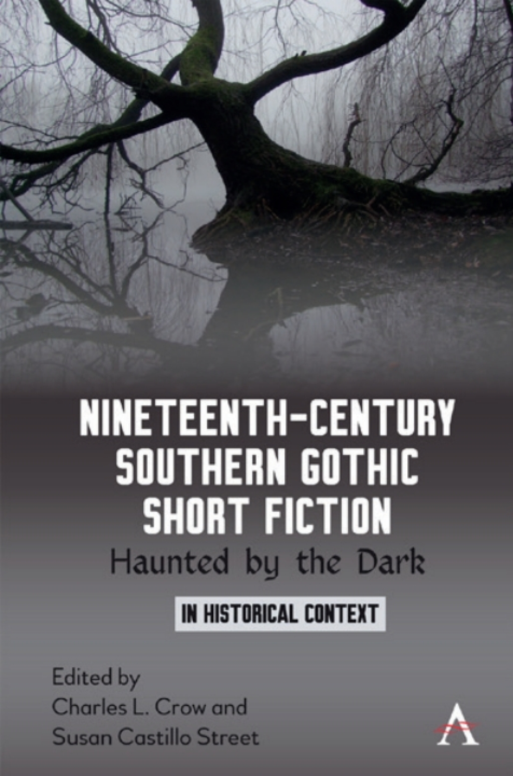 Nineteenth-Century Southern Gothic Short Fiction Haunted by the Dark 1st Edition â€“ PDF/EPUB Version Downloadable