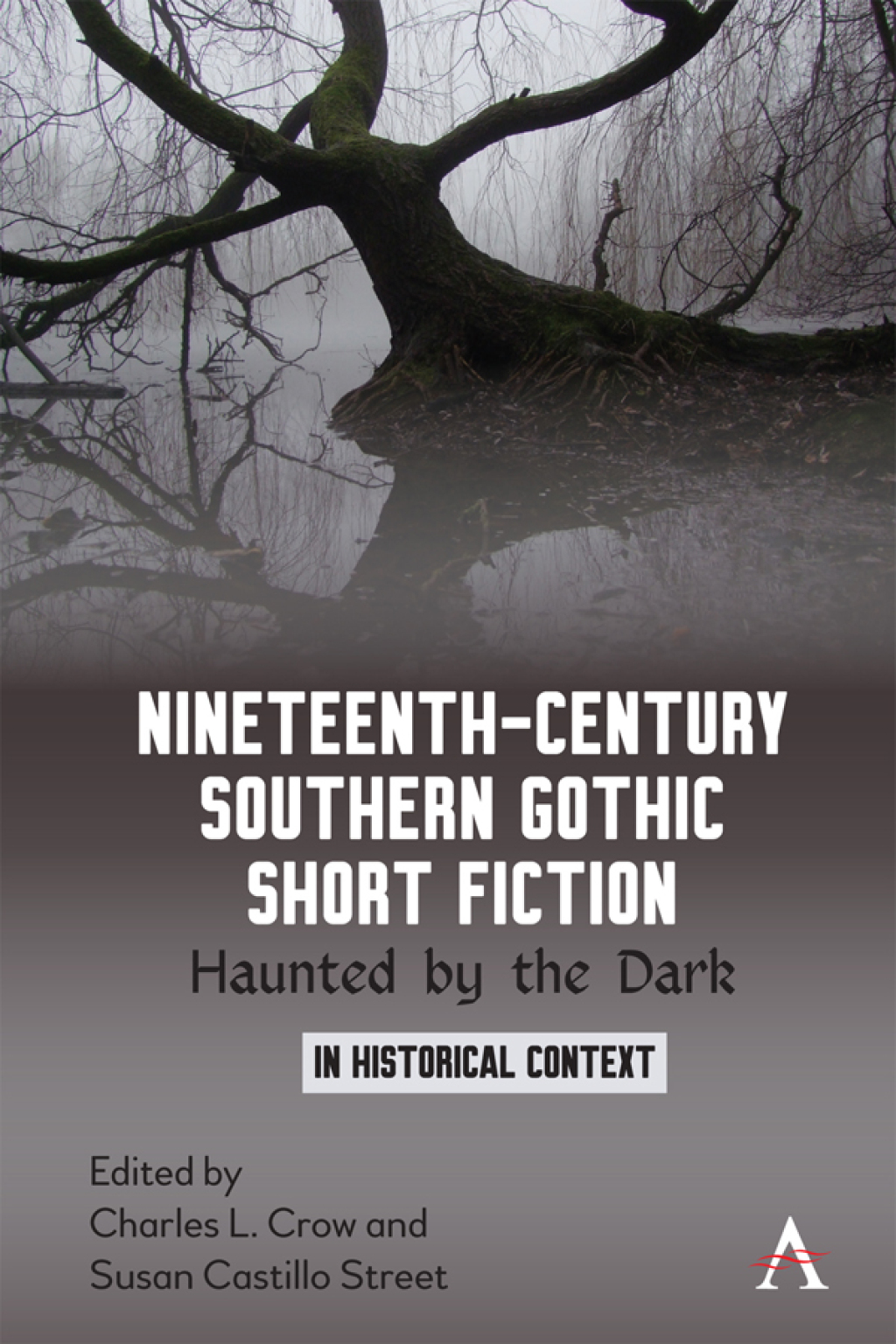 Nineteenth-Century Southern Gothic Short Fiction Haunted by the Dark 1st Edition â€“ PDF/EPUB Version Downloadable