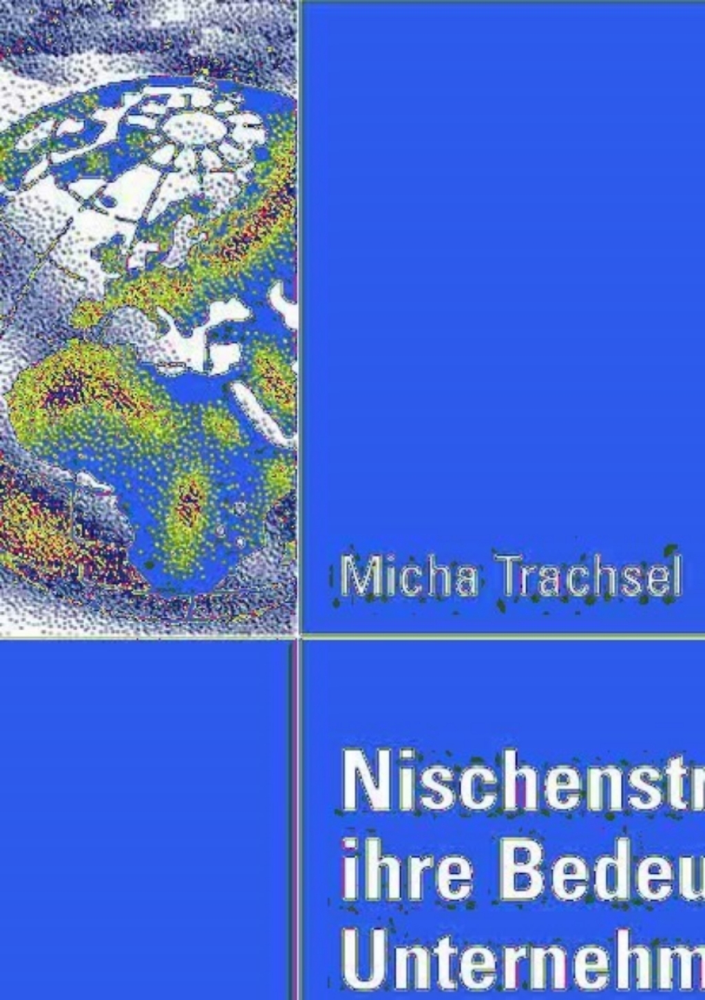 Nischenstrategien und ihre Bedeutung fÃ¼r den Unternehmenserfolg  â€“ PDF/EPUB Version Downloadable
