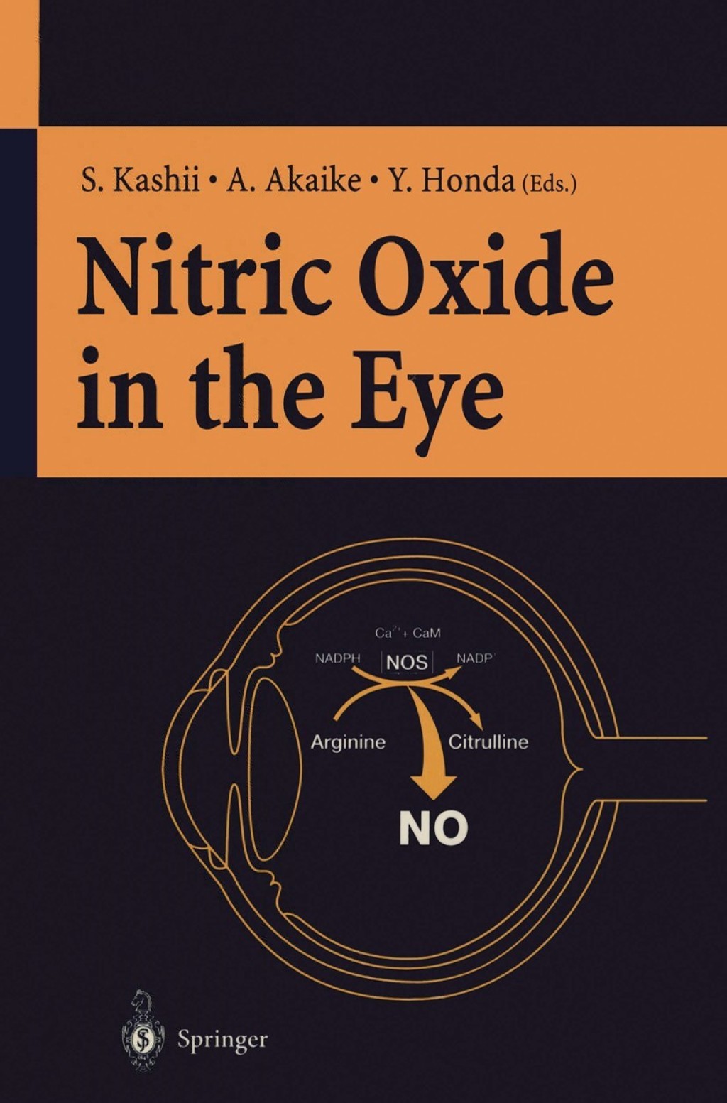 Nitric Oxide in the Eye 1st Edition â€“ PDF/EPUB Version Downloadable