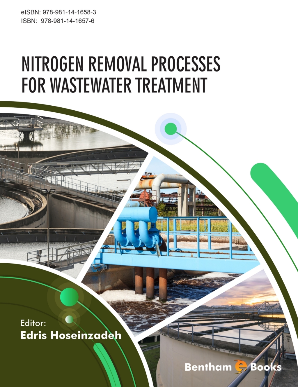 Nitrogen Removal Processes for Wastewater Treatment 1st Edition â€“ PDF/EPUB Version Downloadable