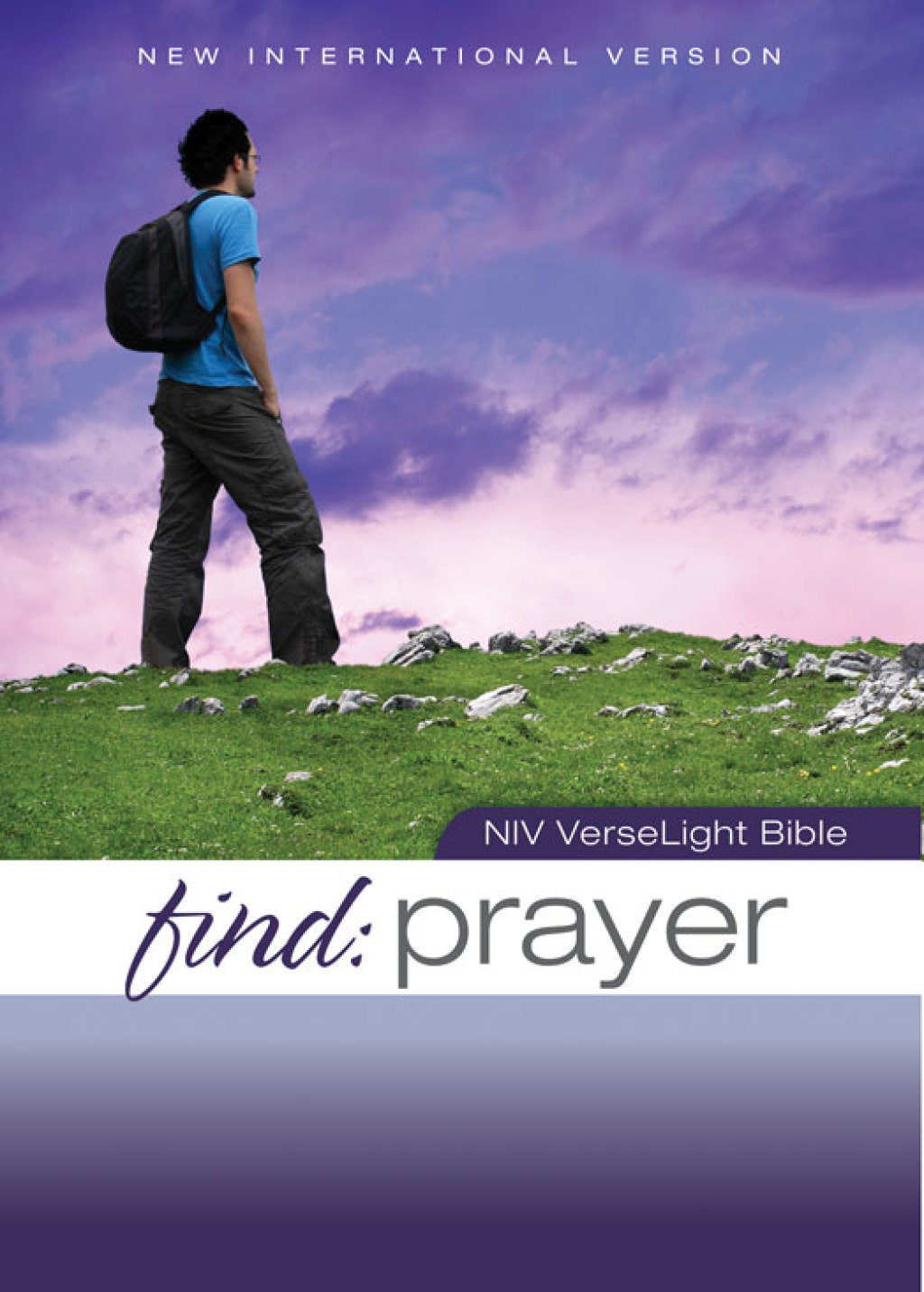 NIV, Find Prayer: VerseLight Bible Quickly Find Scripture Passages about Prayer - (PDF/EPUB Version)
