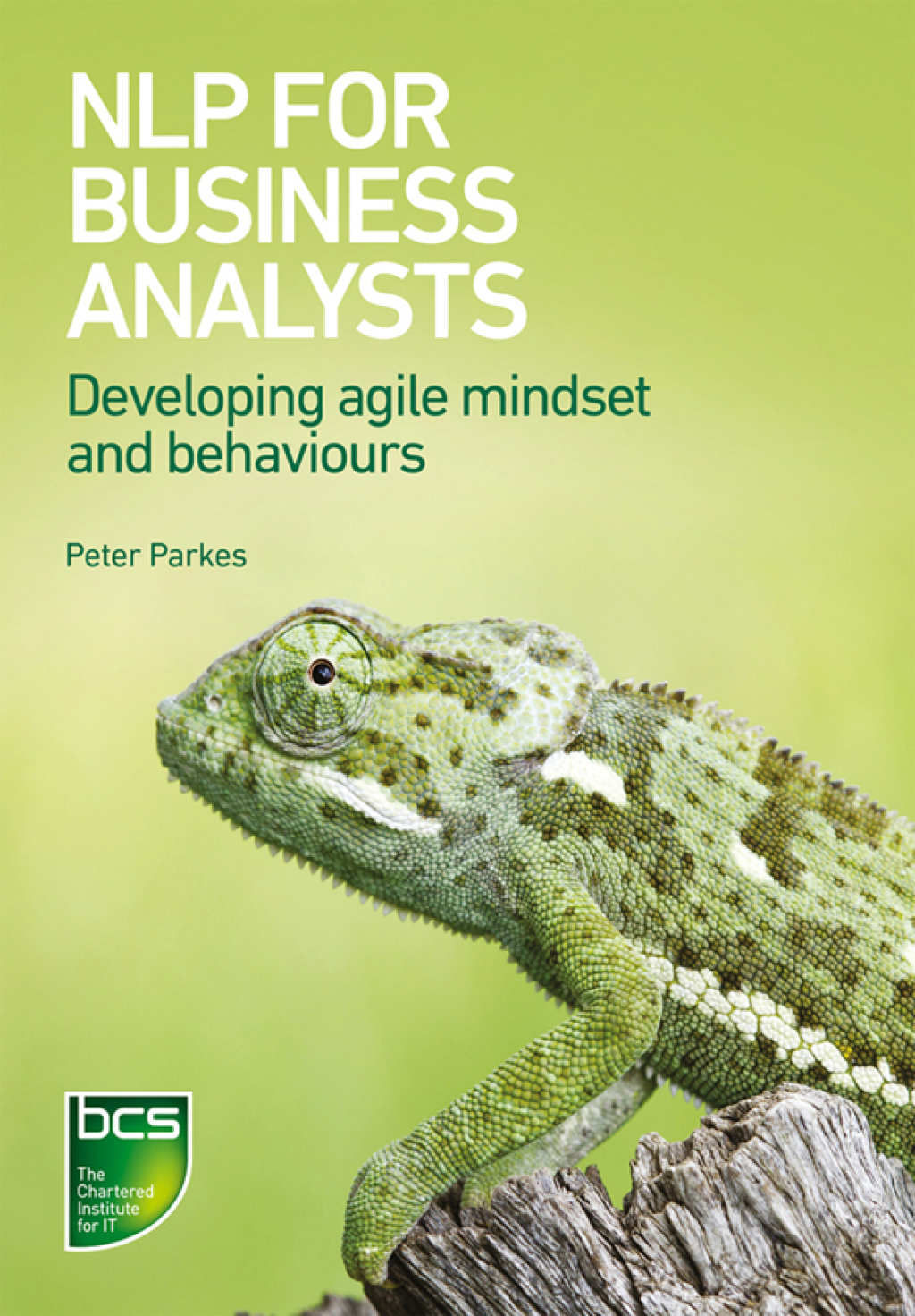 NLP for Business Analysts Developing agile mindset and behaviours 1st Edition â€“ PDF/EPUB Version Downloadable