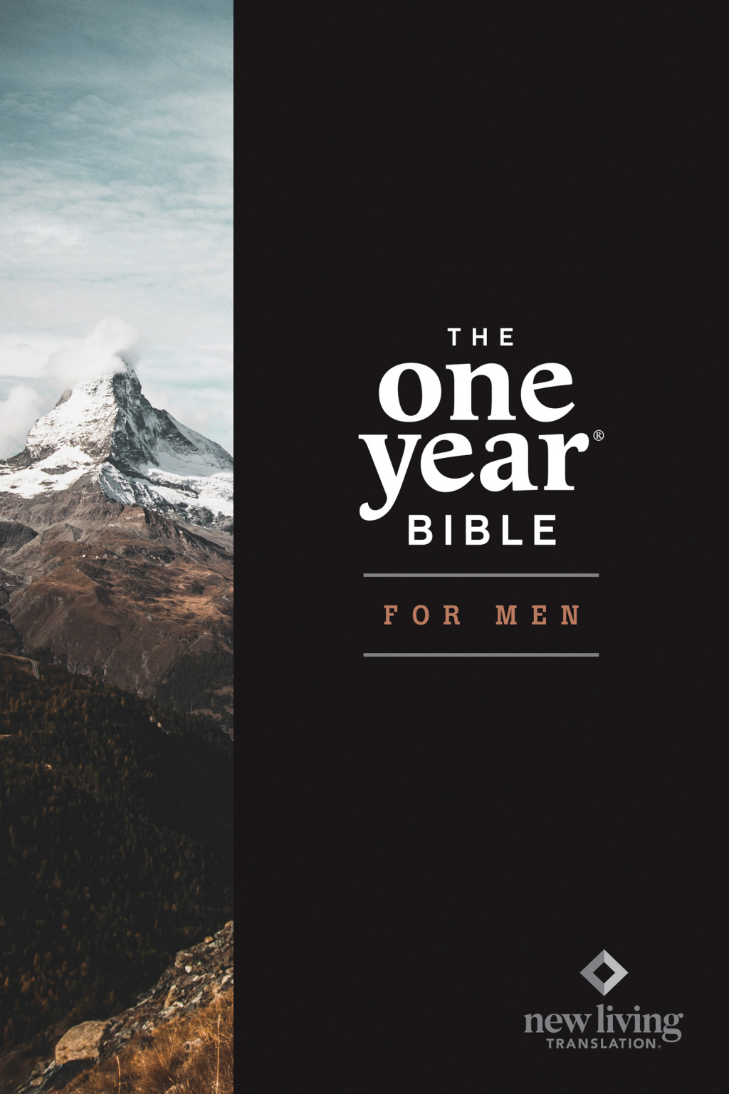 NLT The One Year Bible for Men  â€“ PDF/EPUB Version Downloadable