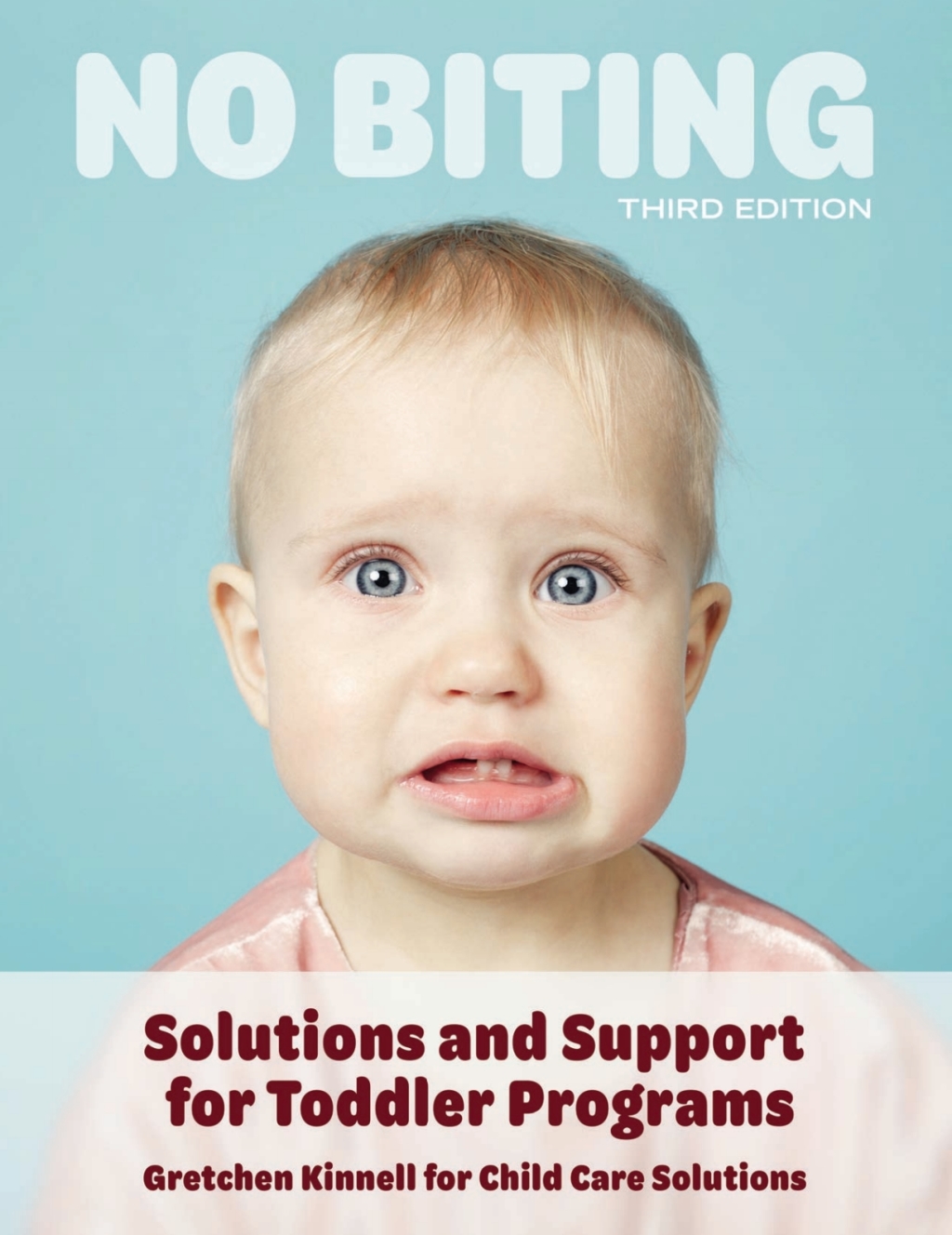 No Biting: Solutions and Support for Toddler Programs 3rd Edition - (PDF/EPUB Version)