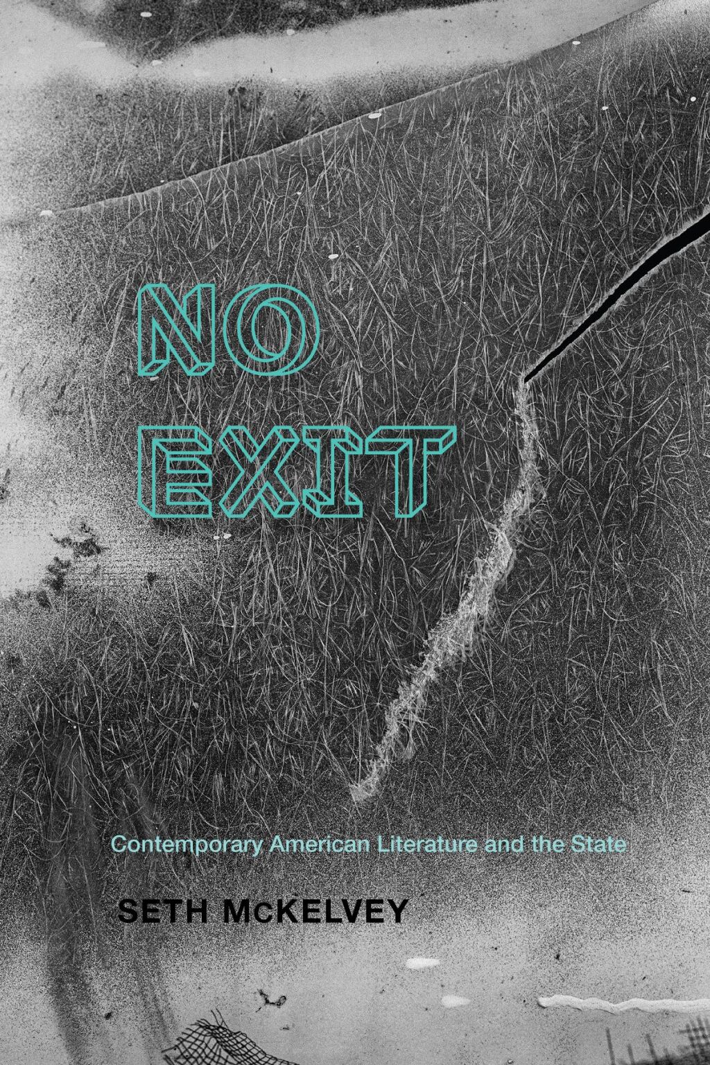 No Exit Contemporary American Literature and the State  â€“ PDF/EPUB Version Downloadable