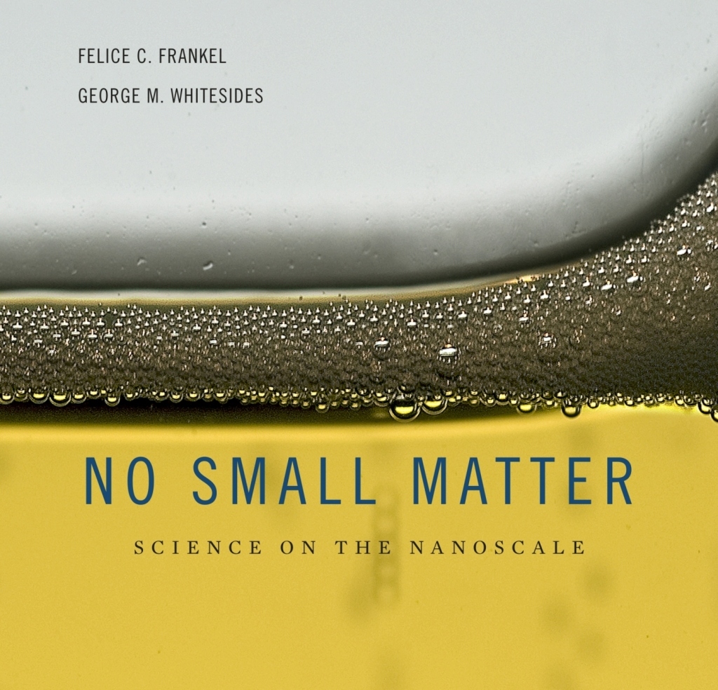 No Small Matter Science on the Nanoscale - (PDF/EPUB Version)