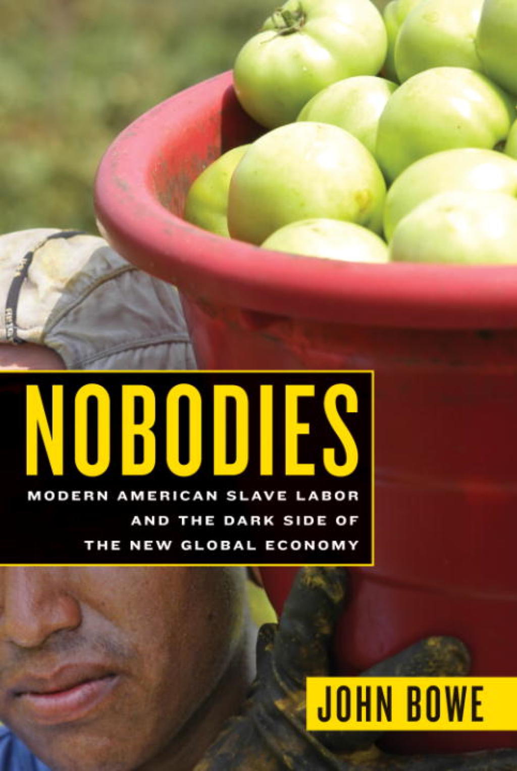 Nobodies Modern American Slave Labor and the Dark Side of the New Global Economy - (PDF/EPUB Version)