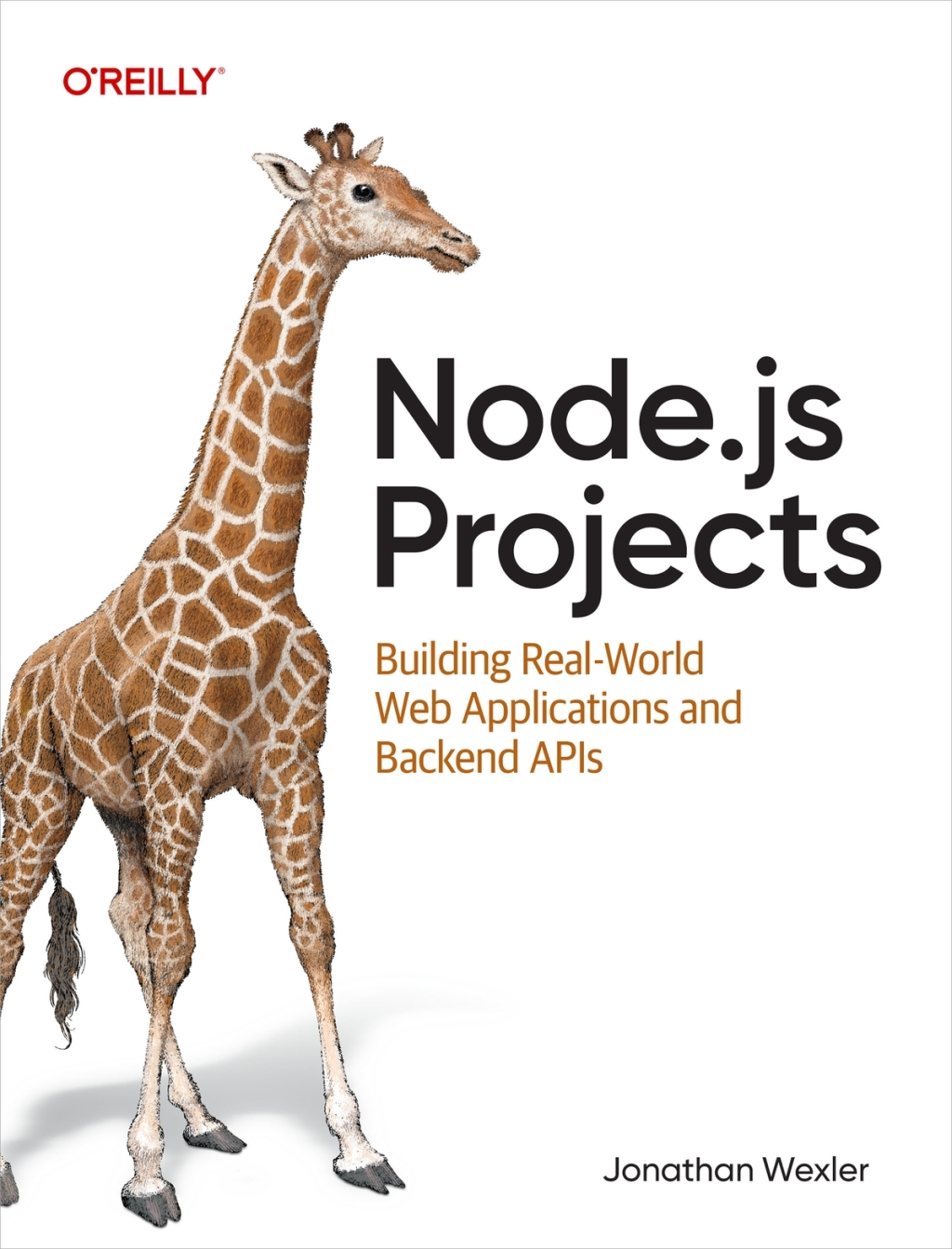 Node.js Projects Building Real-World Web Applications and Backend APIs 1st Edition â€“ PDF/EPUB Version Downloadable