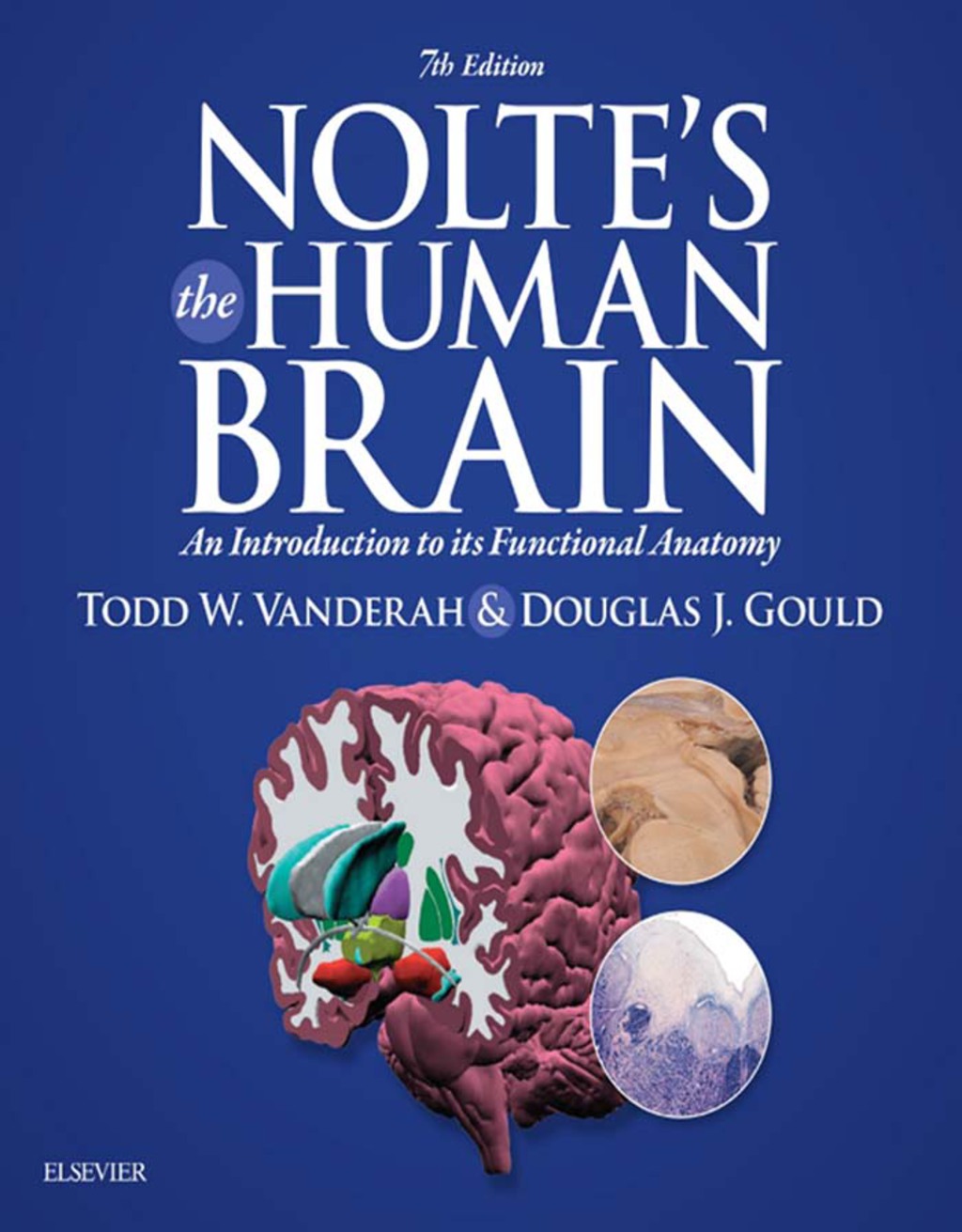 Nolteâ€™s The Human Brain An Introduction to its Functional Anatomy 7th Edition â€“ PDF/EPUB Version Downloadable