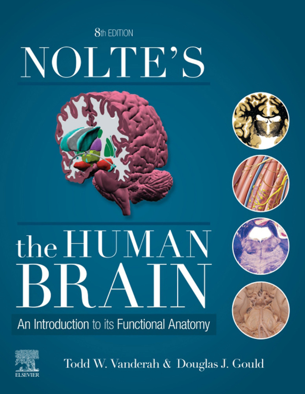 Nolteâ€™s The Human Brain An Introduction to its Functional Anatomy 8th Edition â€“ PDF/EPUB Version Downloadable