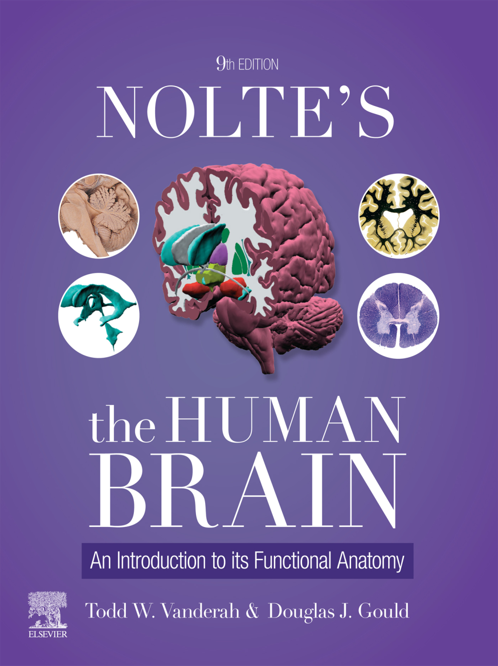 Nolte's The Human Brain 9th Edition â€“ PDF/EPUB Version Downloadable