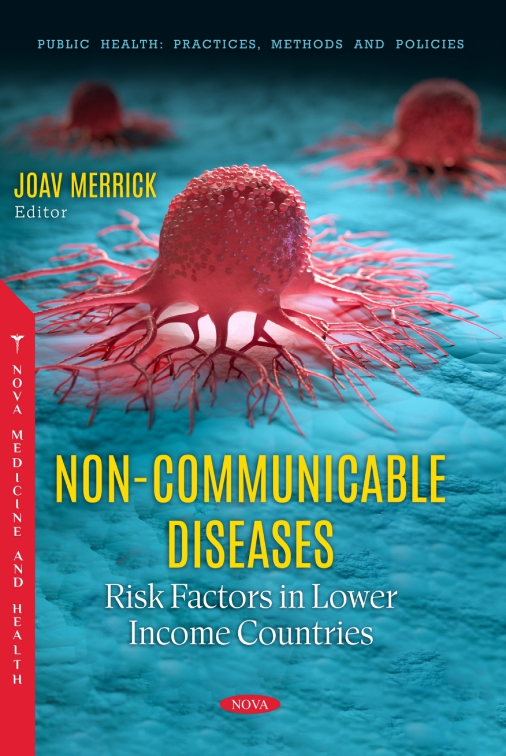 Non-Communicable Diseases: Risk Factors in Lower Income Countries  â€“ PDF/EPUB Version Downloadable