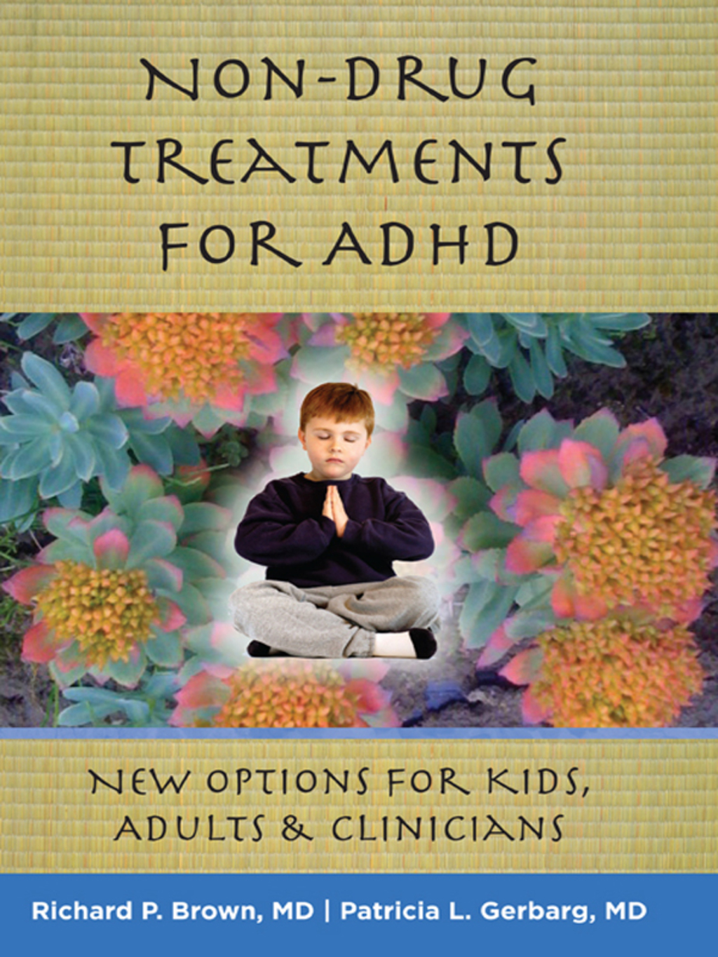 Non-Drug Treatments for ADHD: New Options for Kids, Adults, and Clinicians - (PDF/EPUB Version)