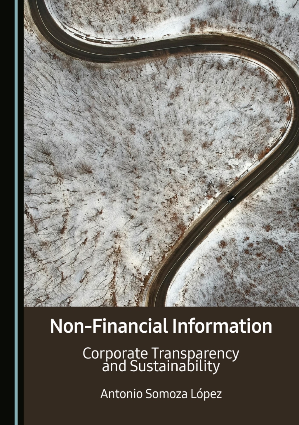 Non-Financial Information Corporate Transparency and Sustainability 1st Edition â€“ PDF/EPUB Version Downloadable
