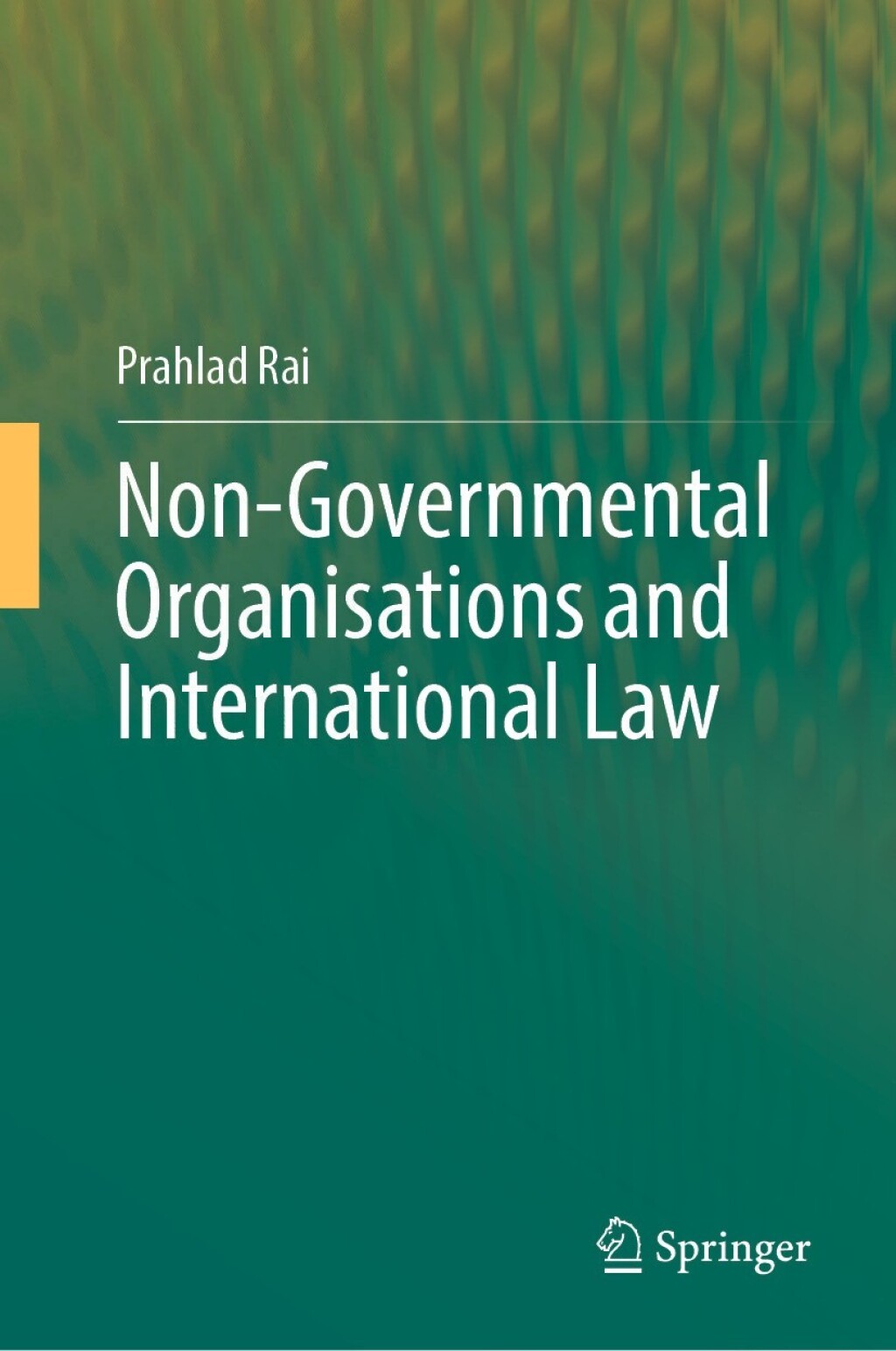 Non-Governmental Organisations and International Law  â€“ PDF/EPUB Version Downloadable
