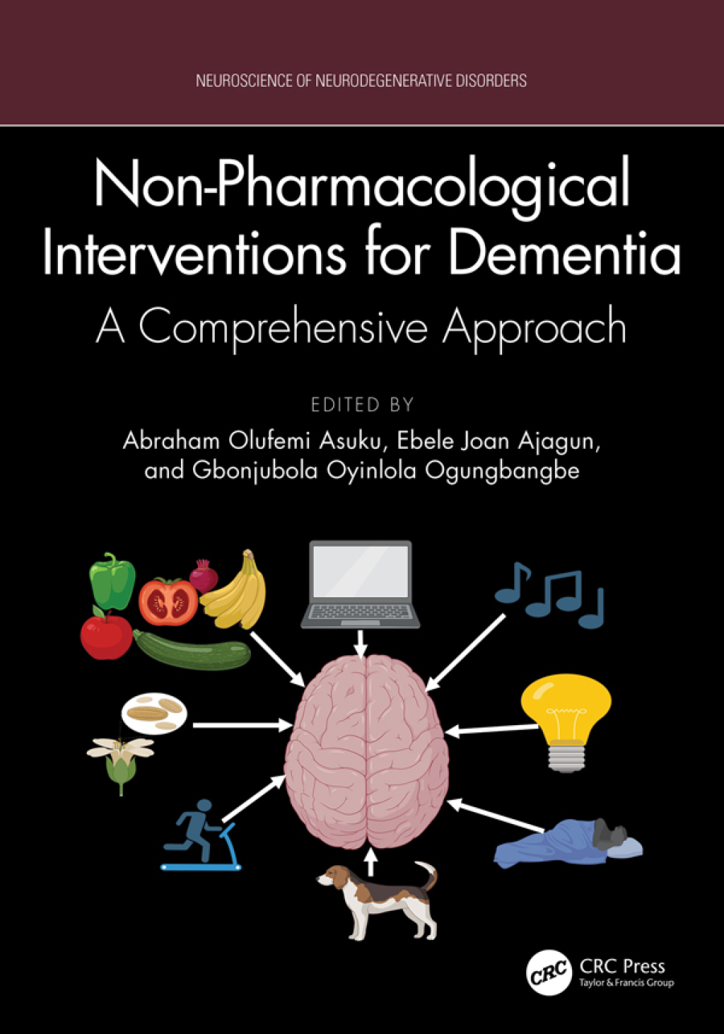Non-Pharmacological Interventions for Dementia A Comprehensive Approach 1st Edition â€“ PDF/EPUB Version Downloadable