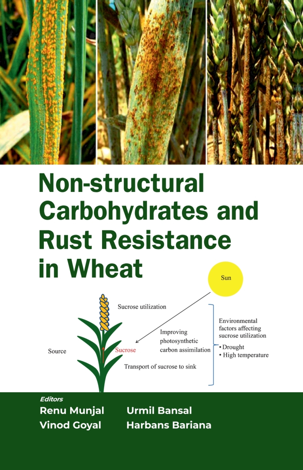 Non-Structural Carbohydrates and Rust Resistance in Wheat 1st Edition â€“ PDF/EPUB Version Downloadable
